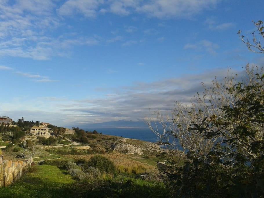 Amaras