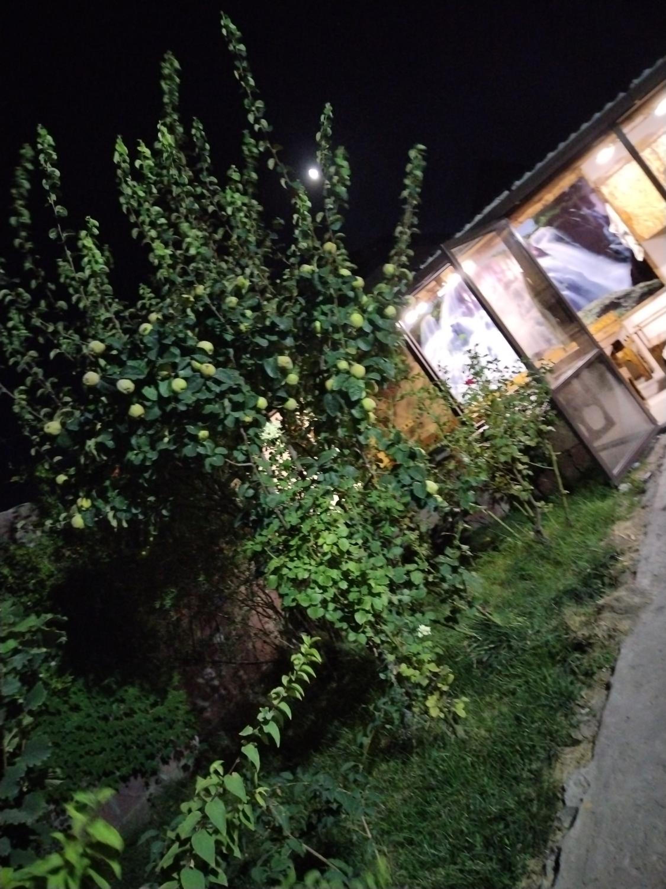 Milena Hotel