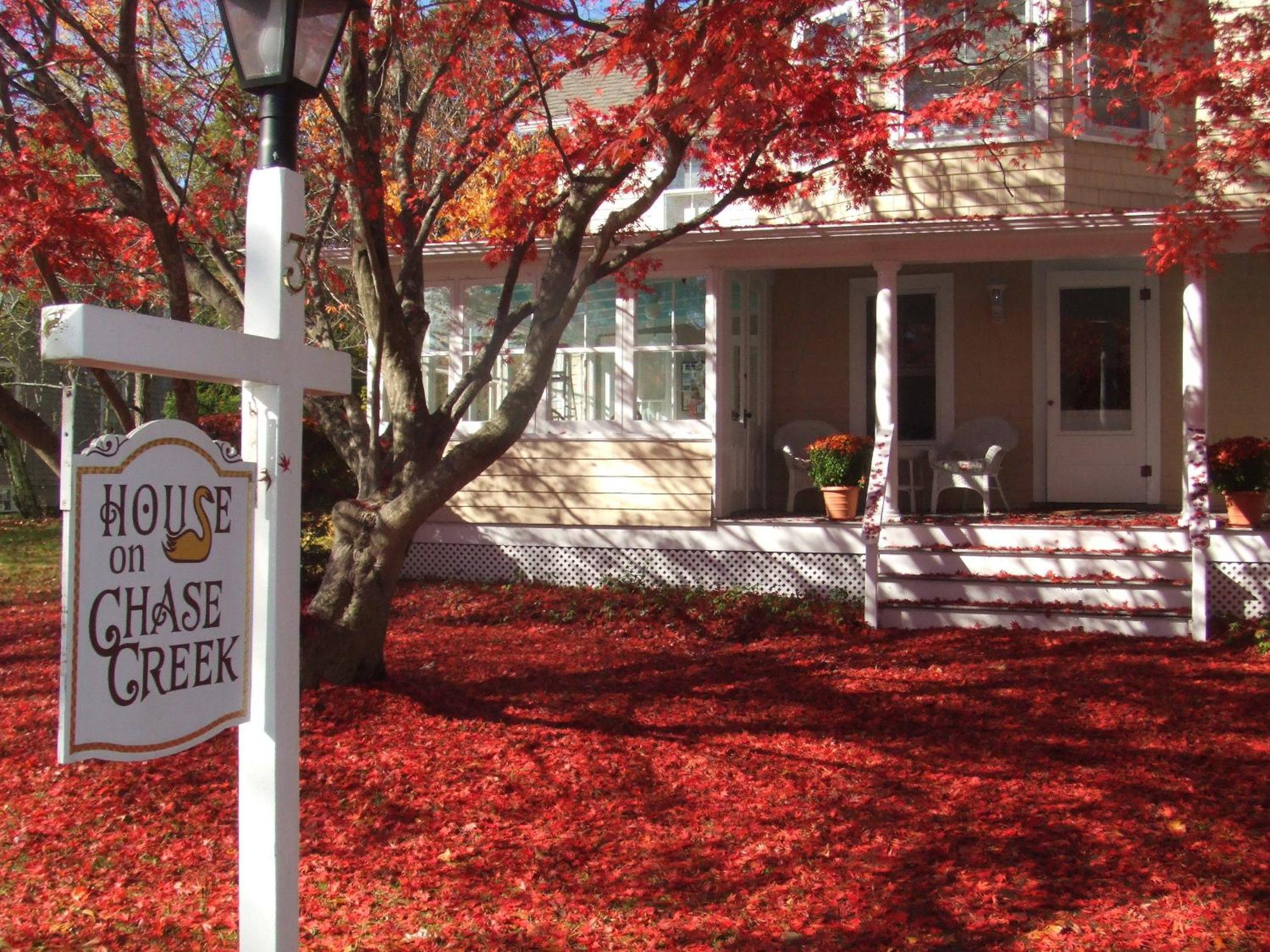 House on Chase Creek