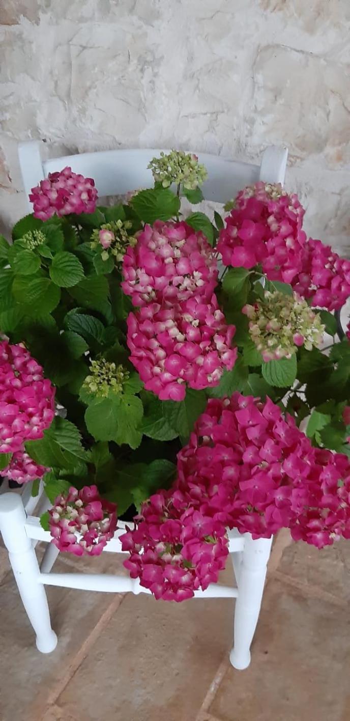 Trullo Donna Caterina