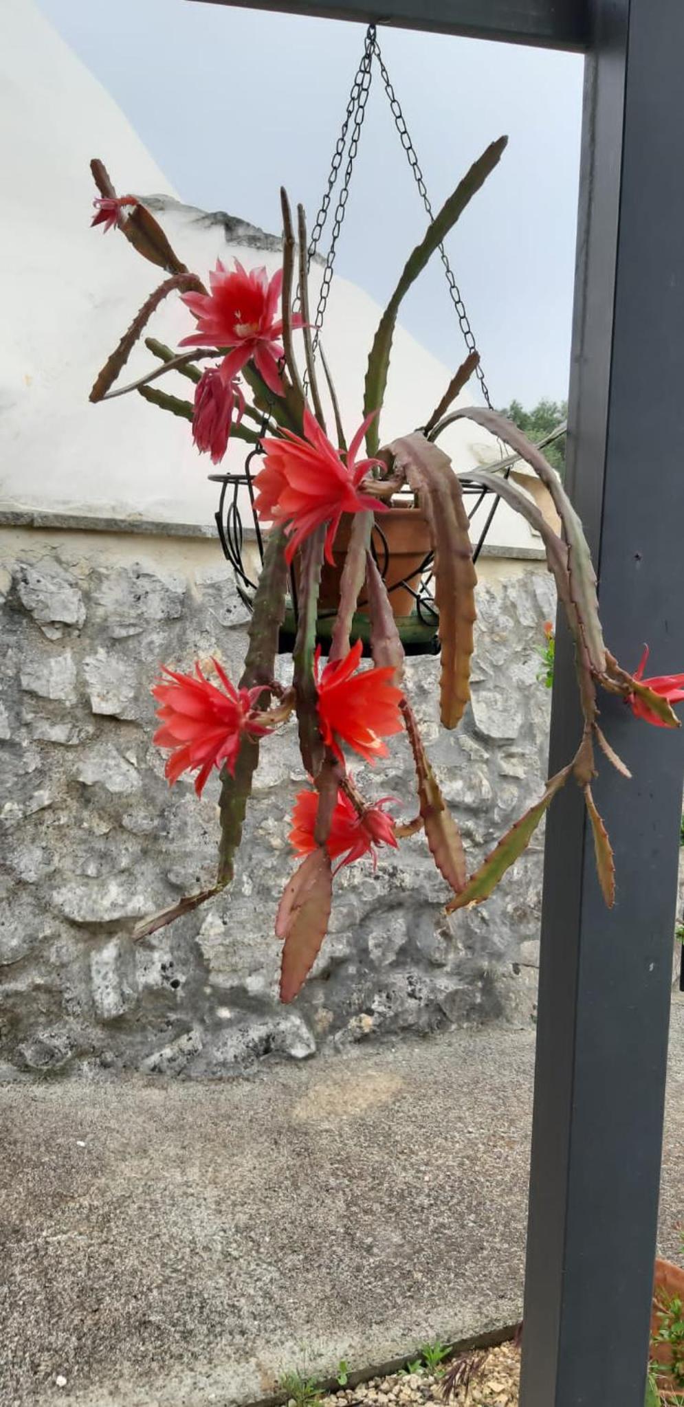 Trullo Donna Caterina