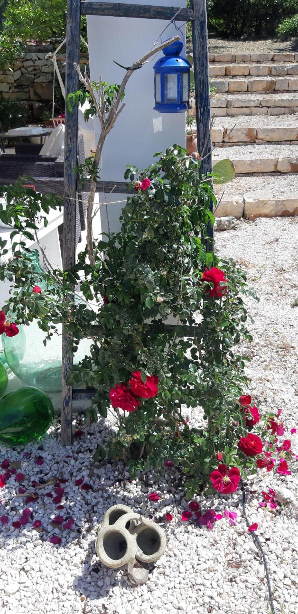Trullo Donna Caterina