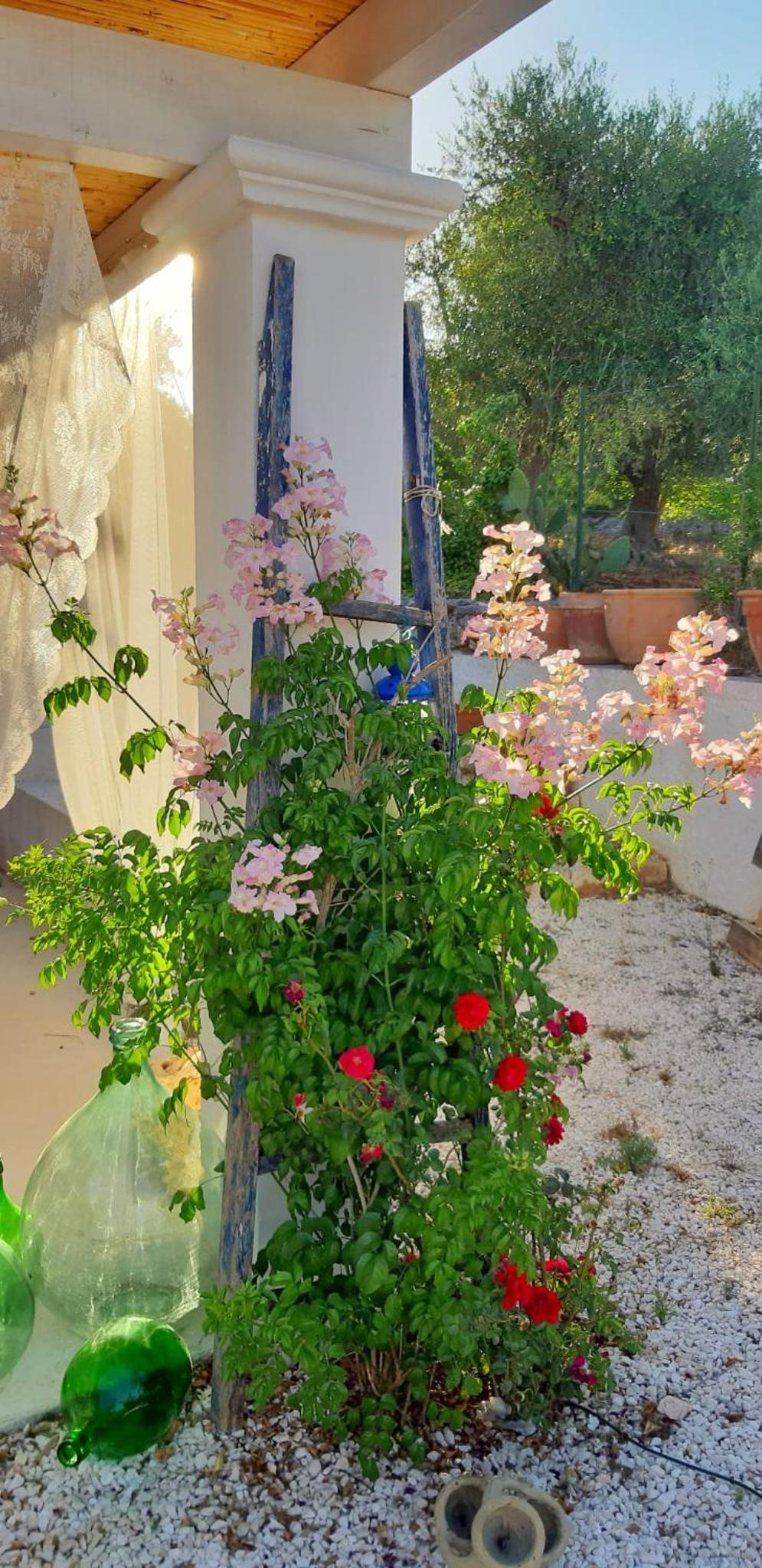Trullo Donna Caterina