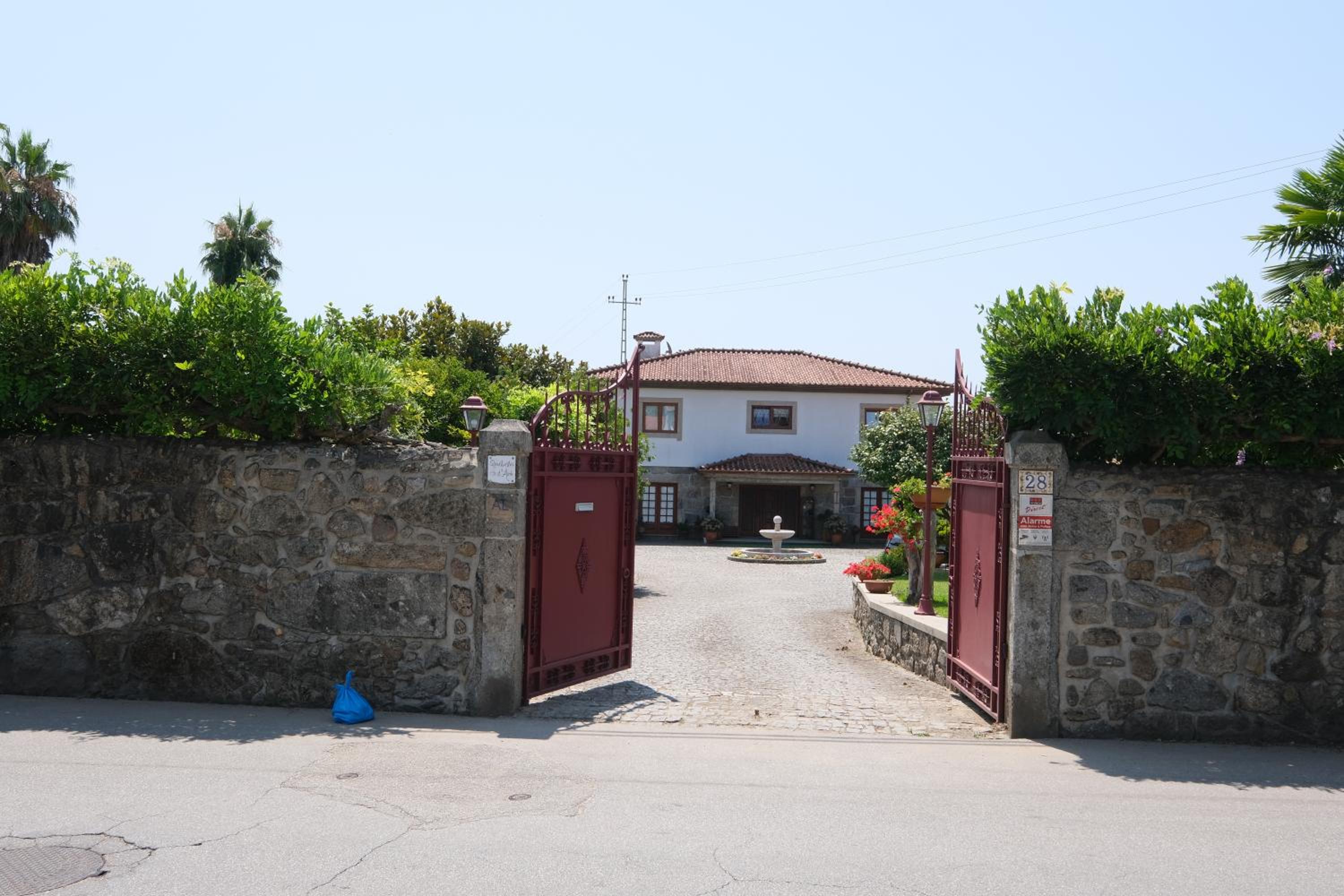 Photo 42