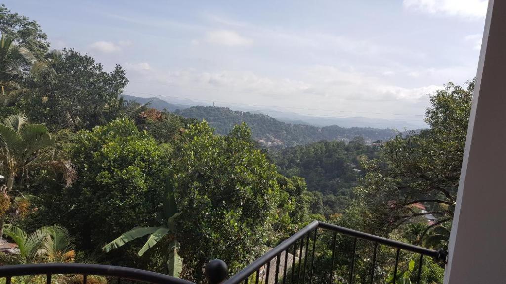 Mount Mirror Residency view 4