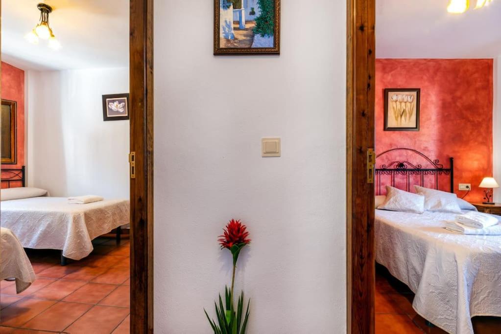 Casa Jose Capileira - Alpujarra view 5