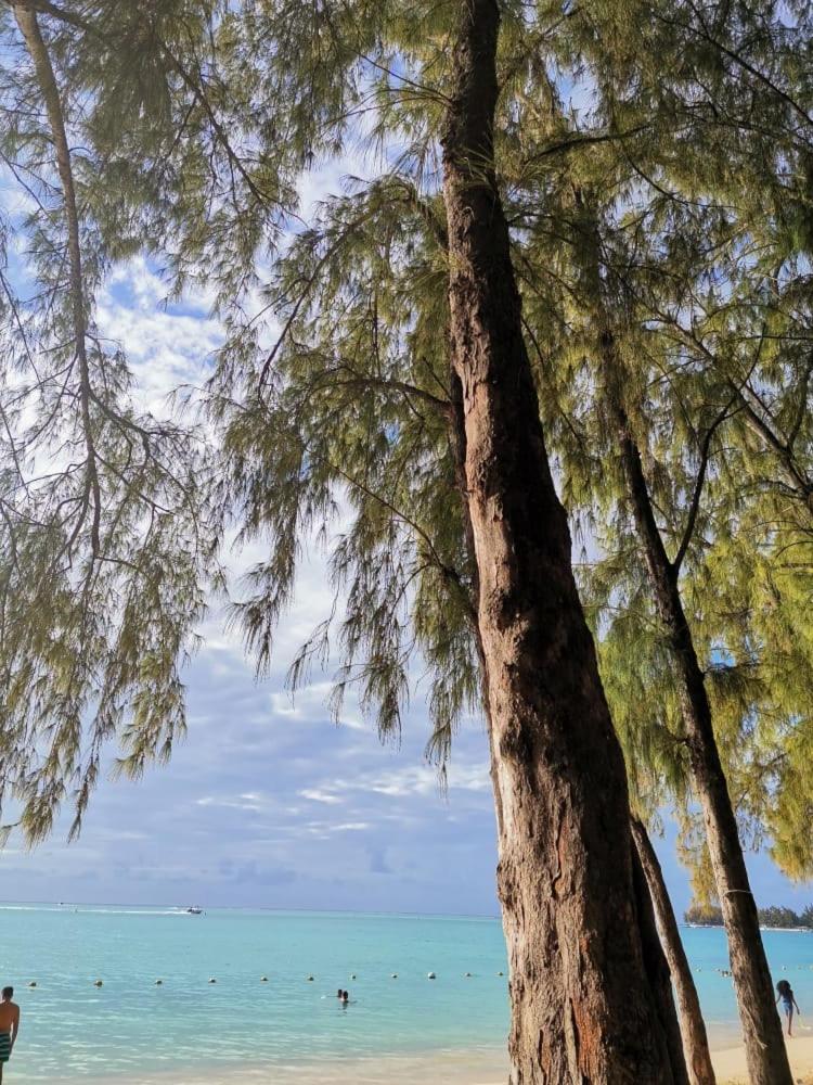 Petit Coin de Paradis