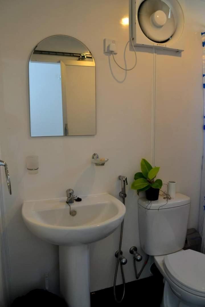 Photo 31