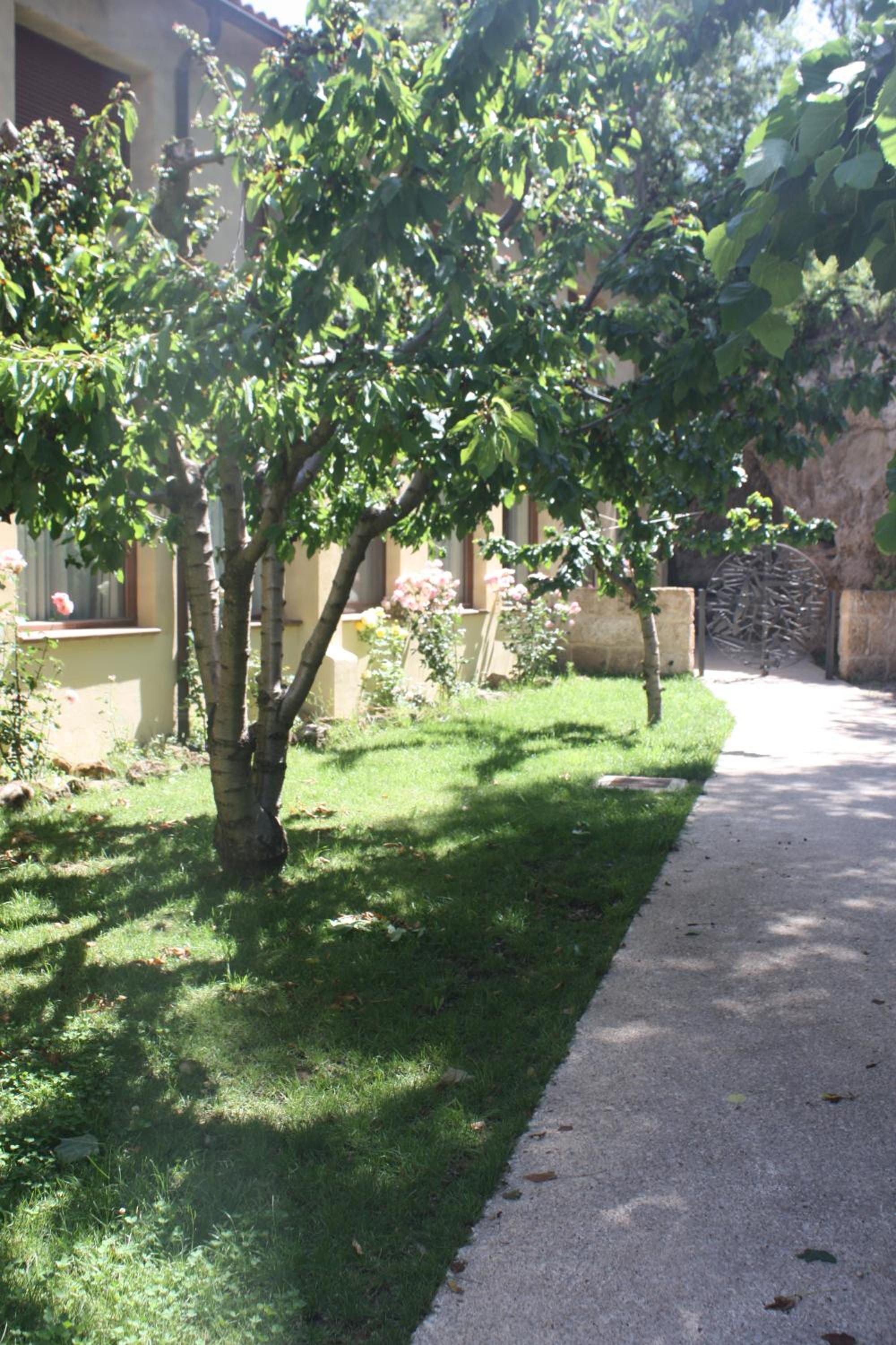Photo 32