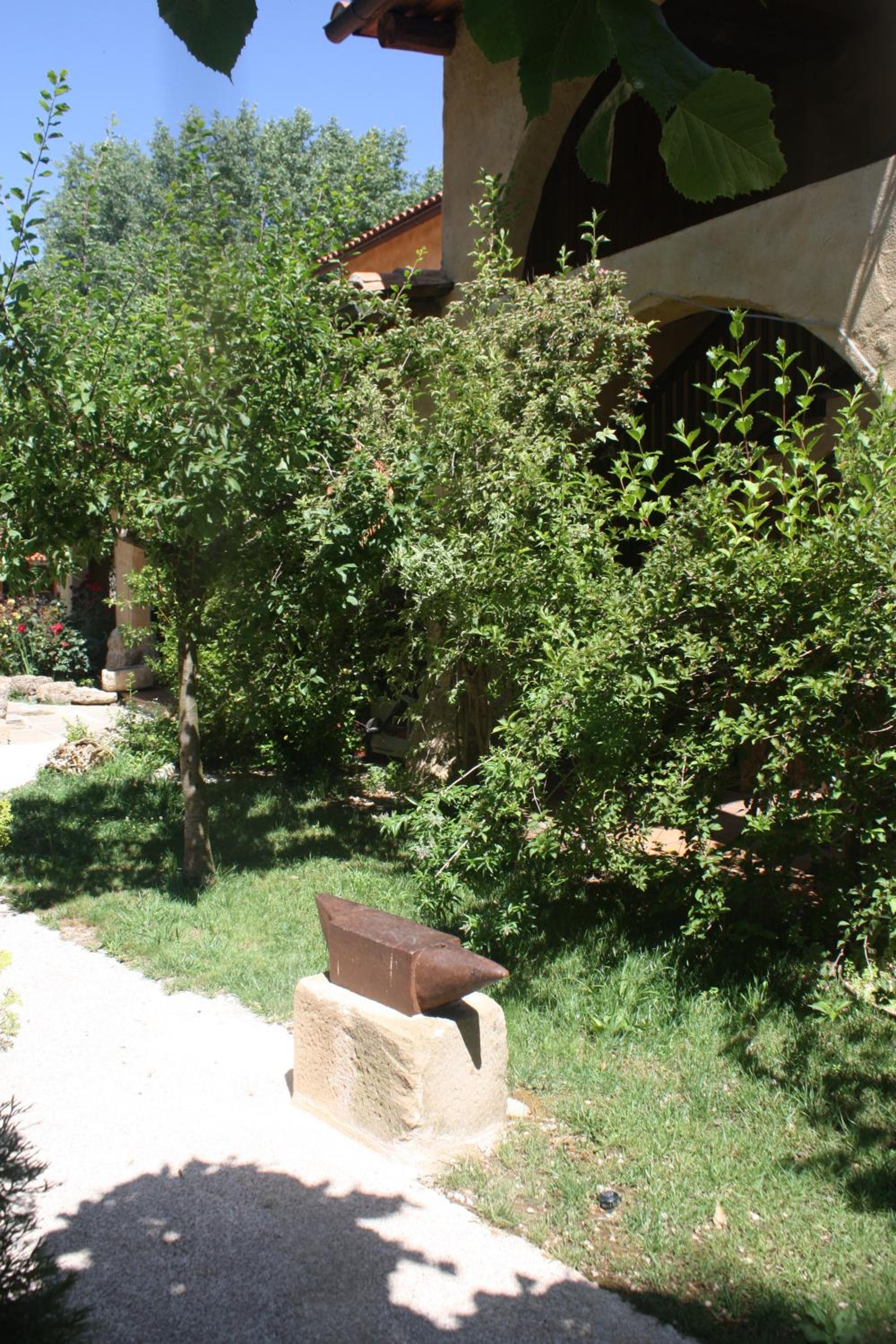 Photo 39