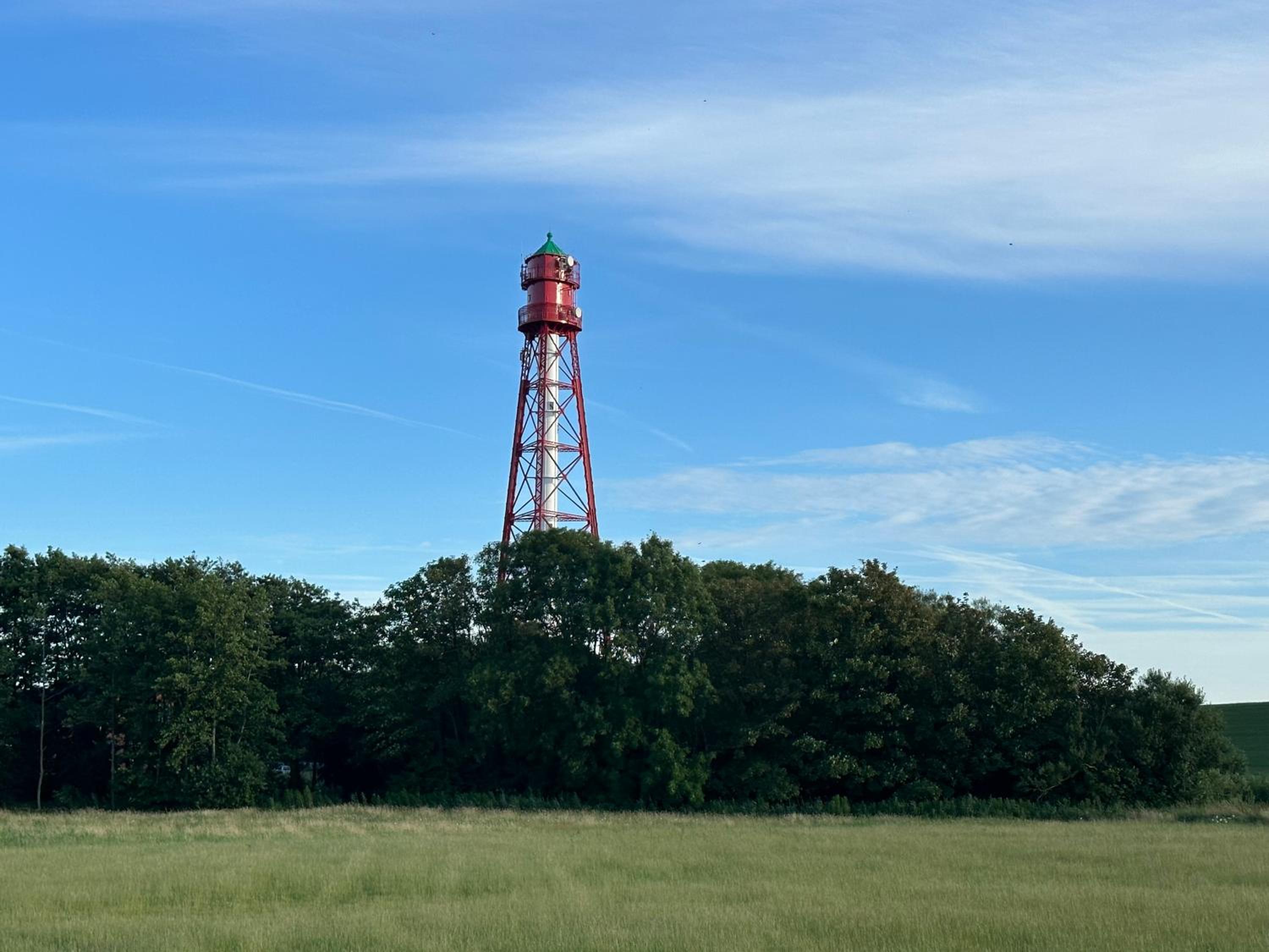 Möwennest