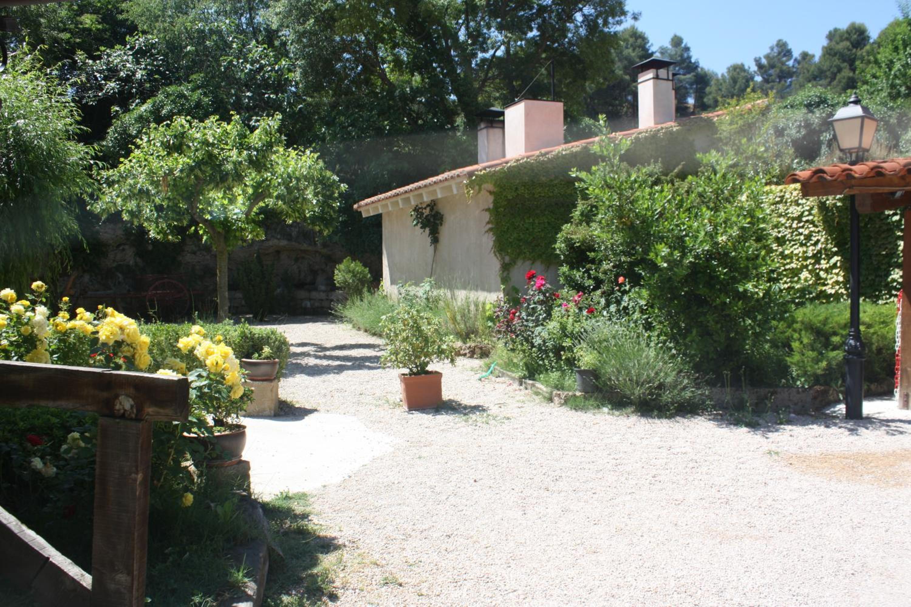 Photo 22