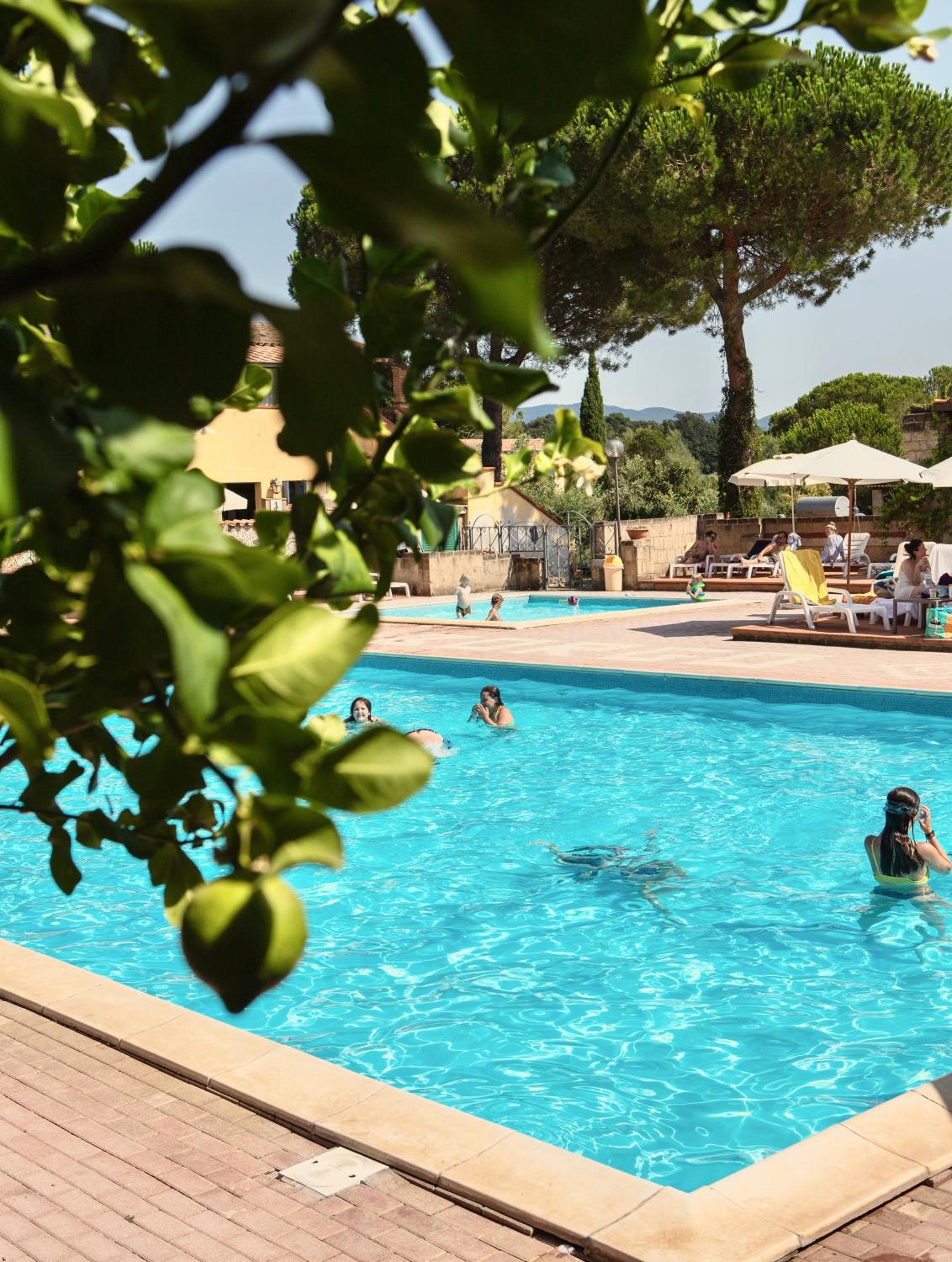 ISA-Residence with swimming pool in Guardistallo surrounded by greenery photo 2