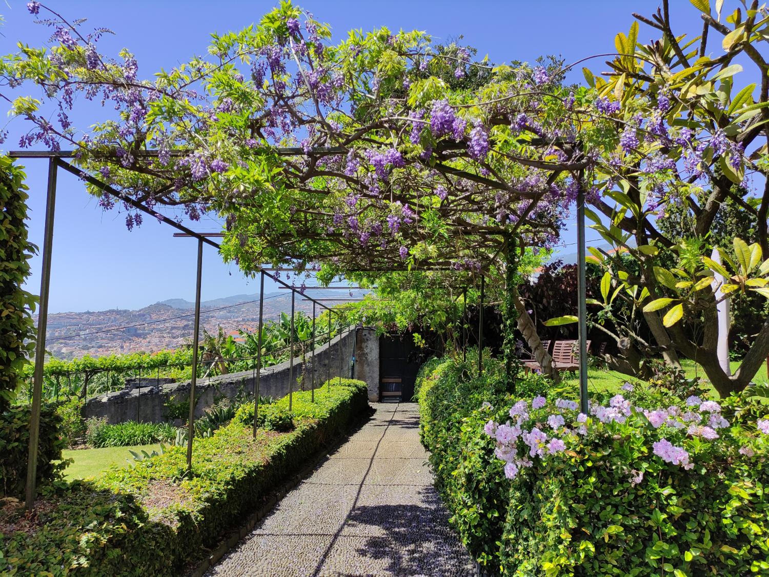 Quinta São Gonçalo view 2
