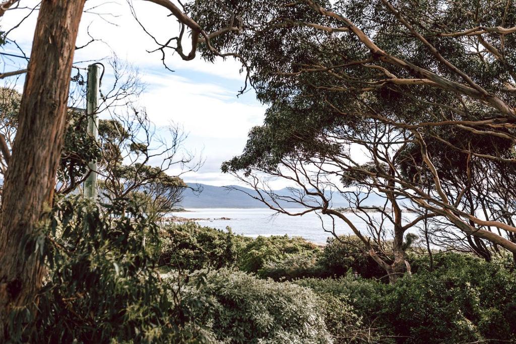 Cod Rock Point