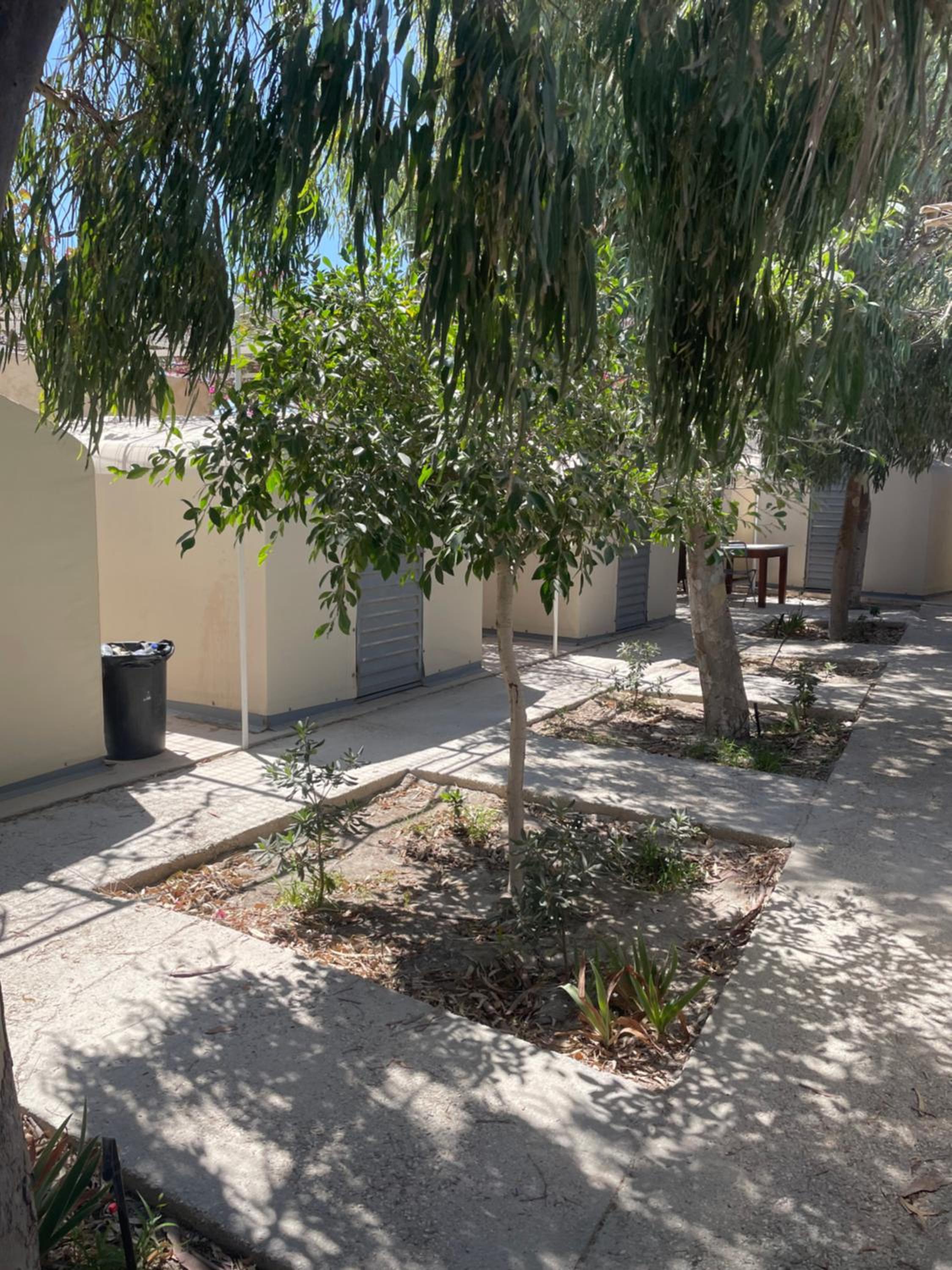 Santorini Camping & Hostel photo 3