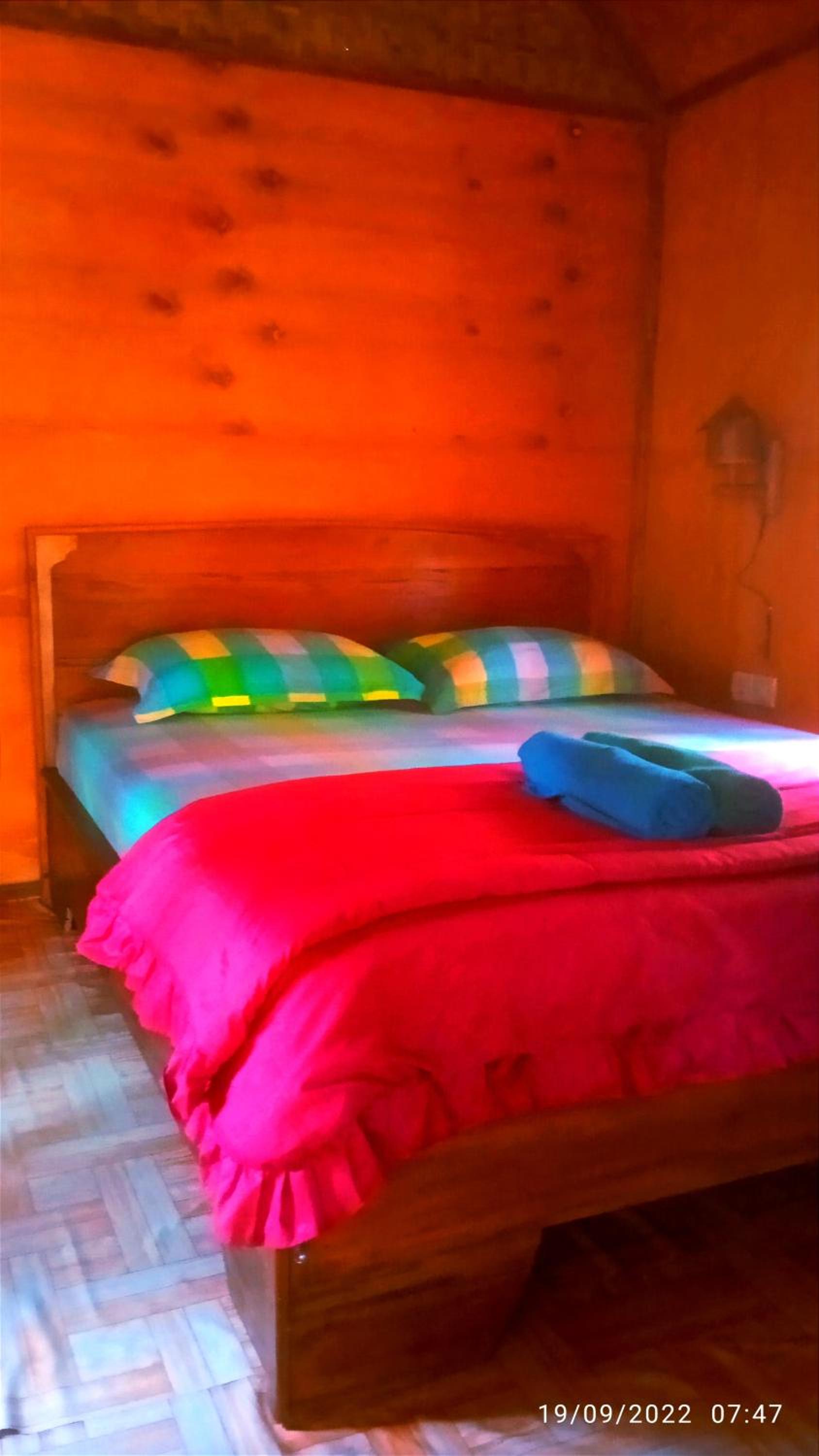 Photo 11