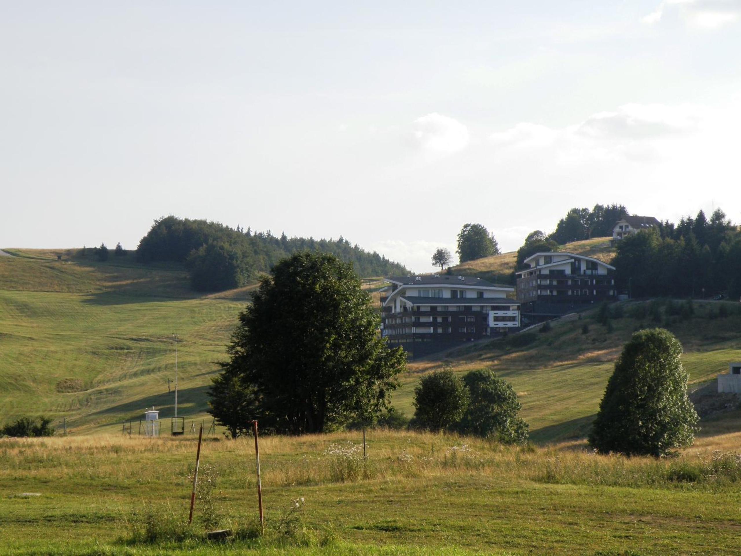 Photo 41