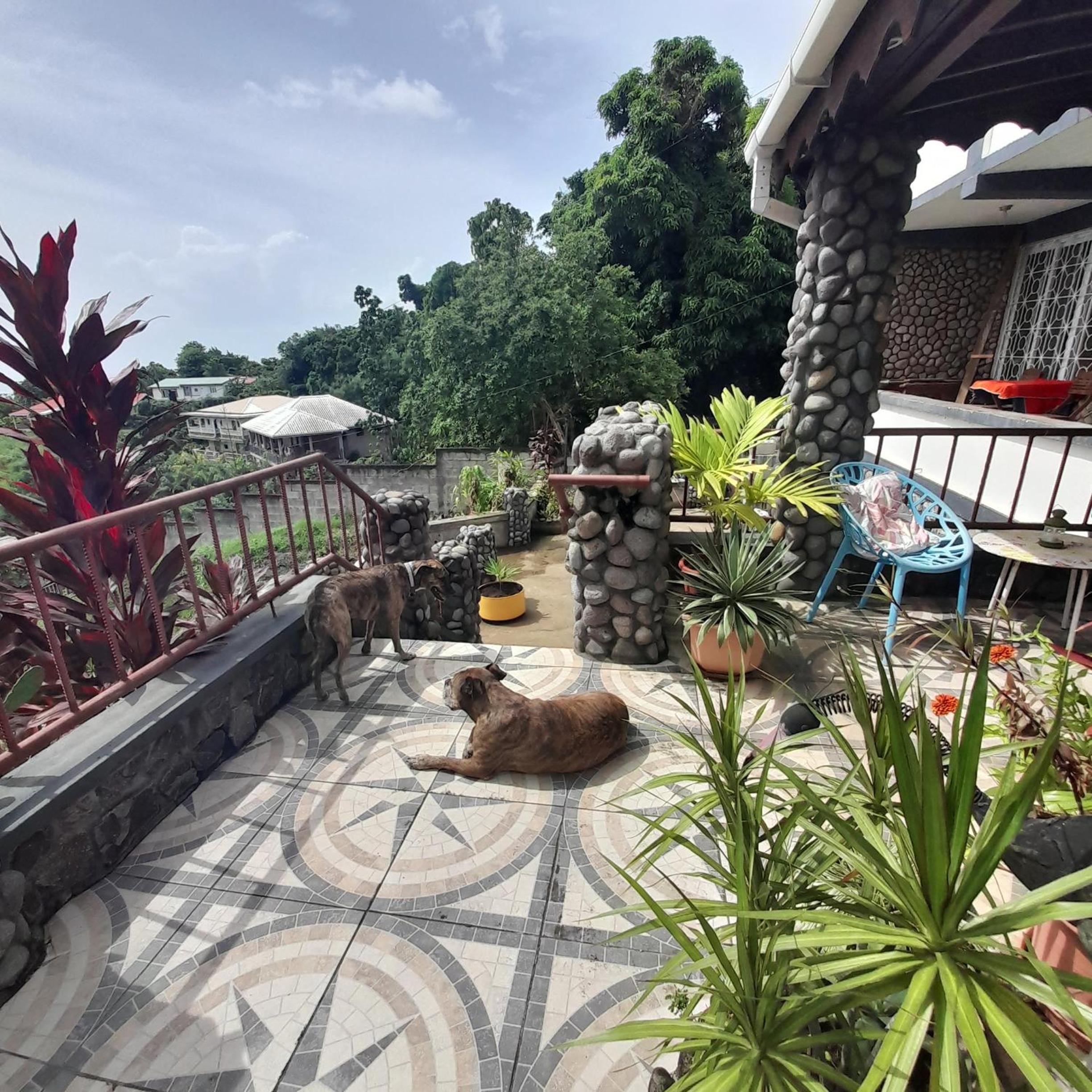 Canefield sea view apartment