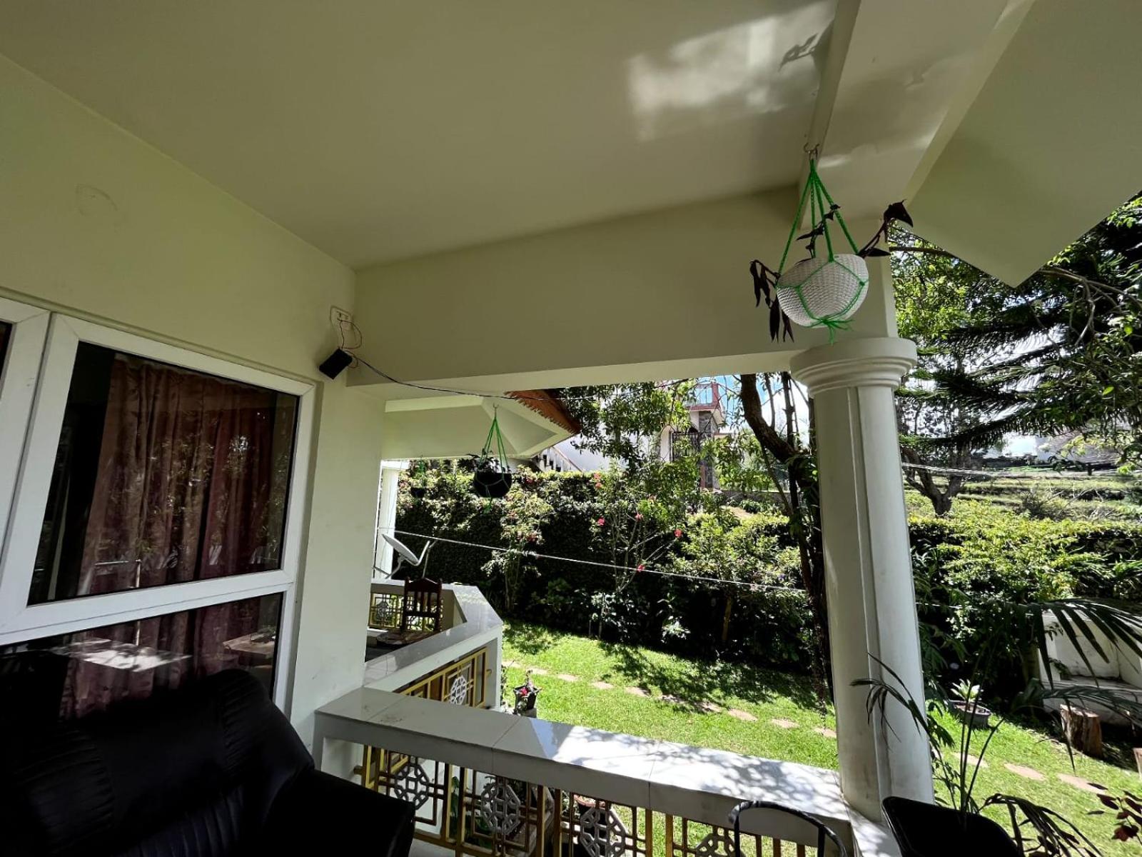 Photo 42