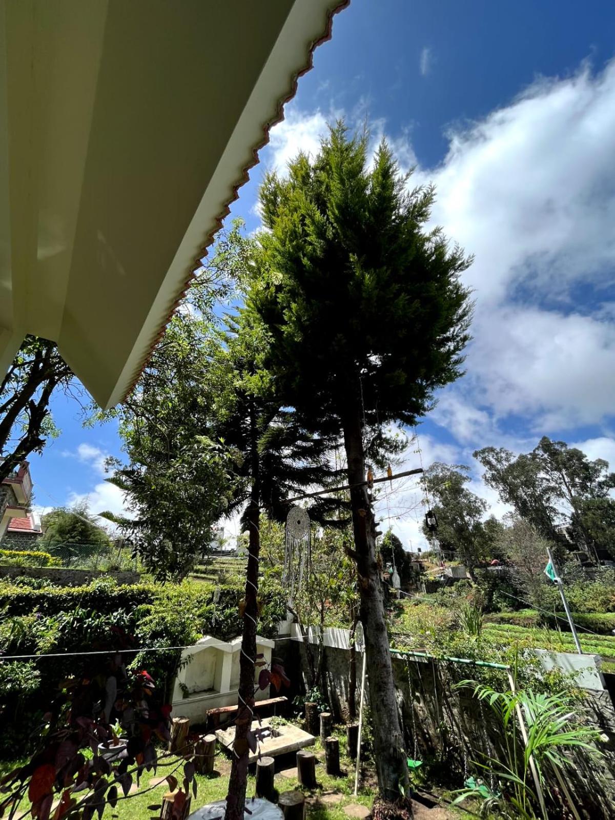 The White House Villa Kodai view 4