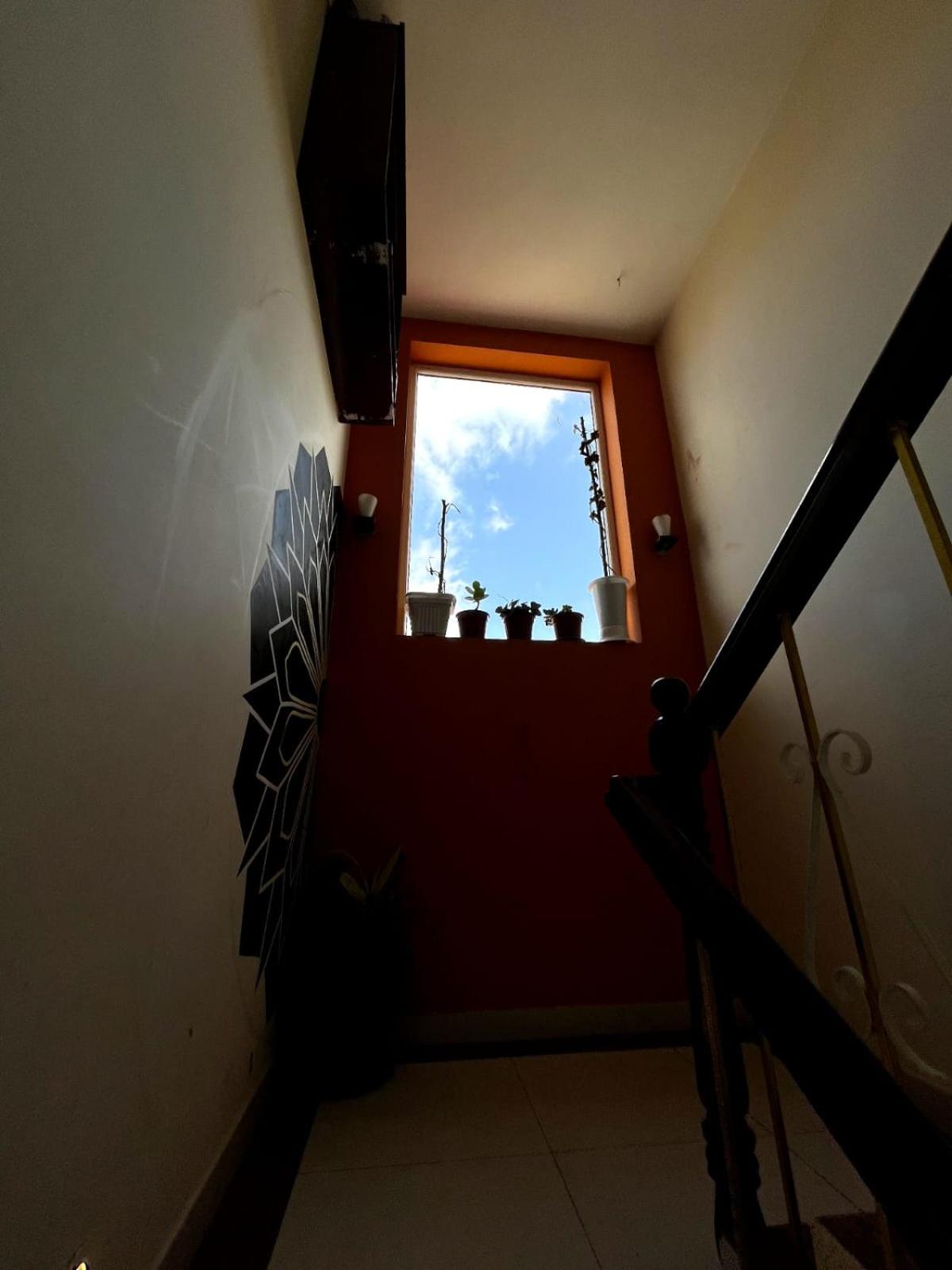 Photo 33