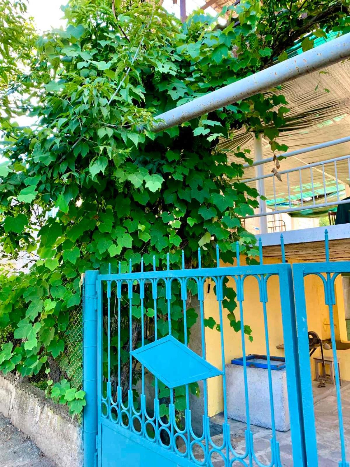 DendroBak GuestHouse