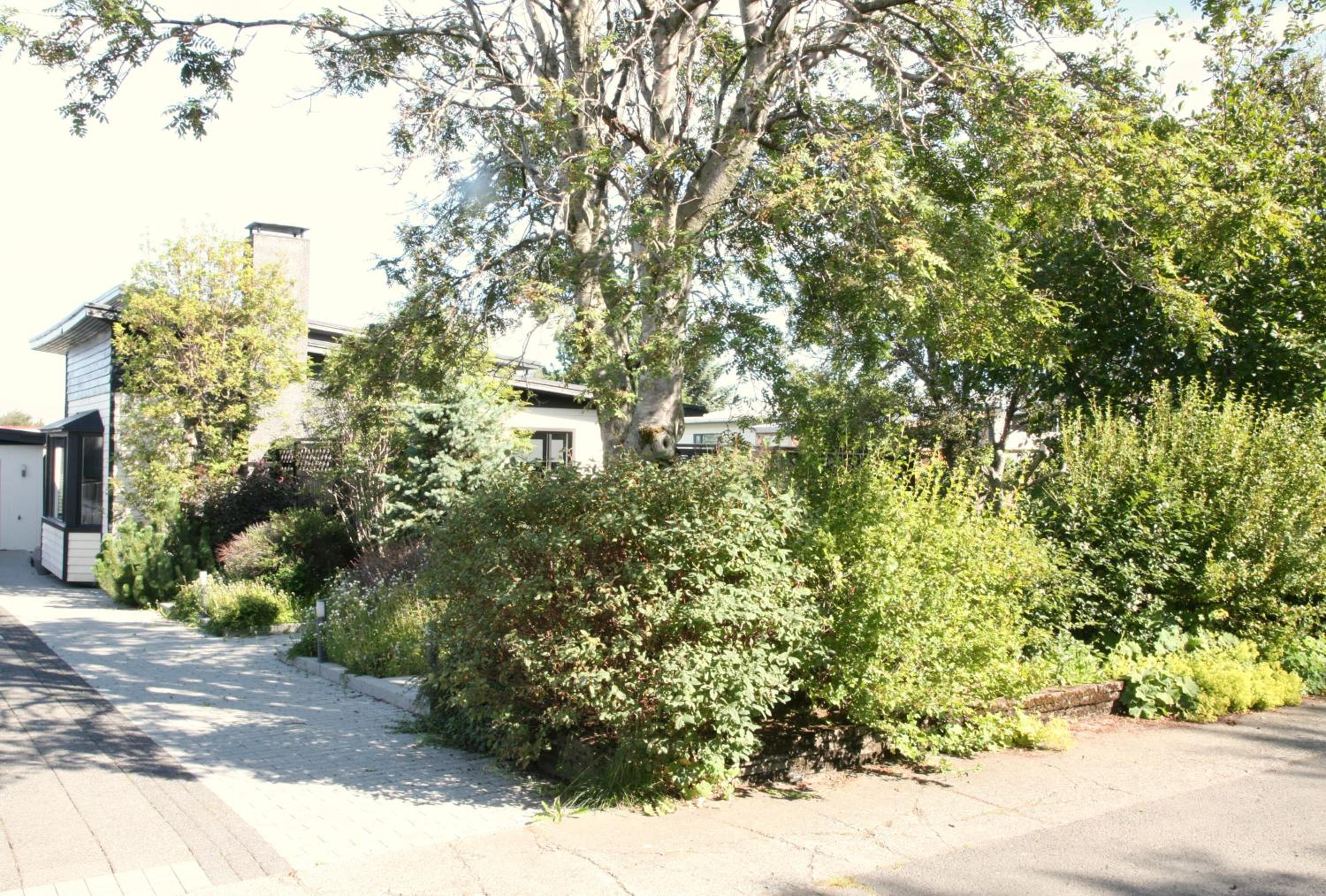 Spacious & refurbished 1 bedroom apartment in suburban Reykjavik