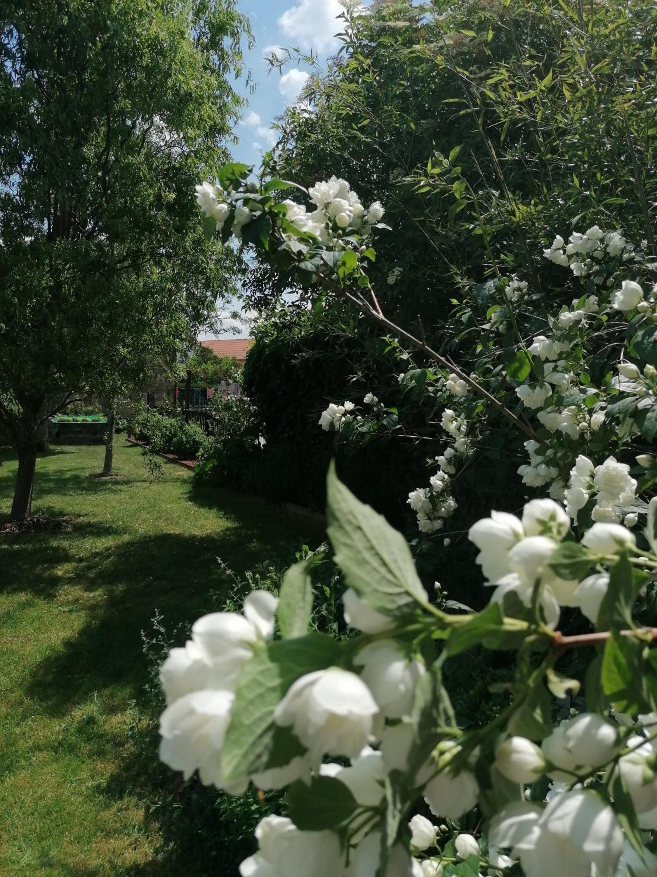 Photo 16