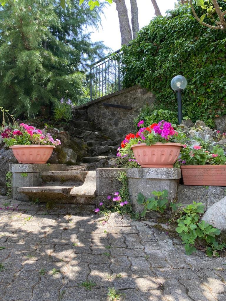 Villa Anna