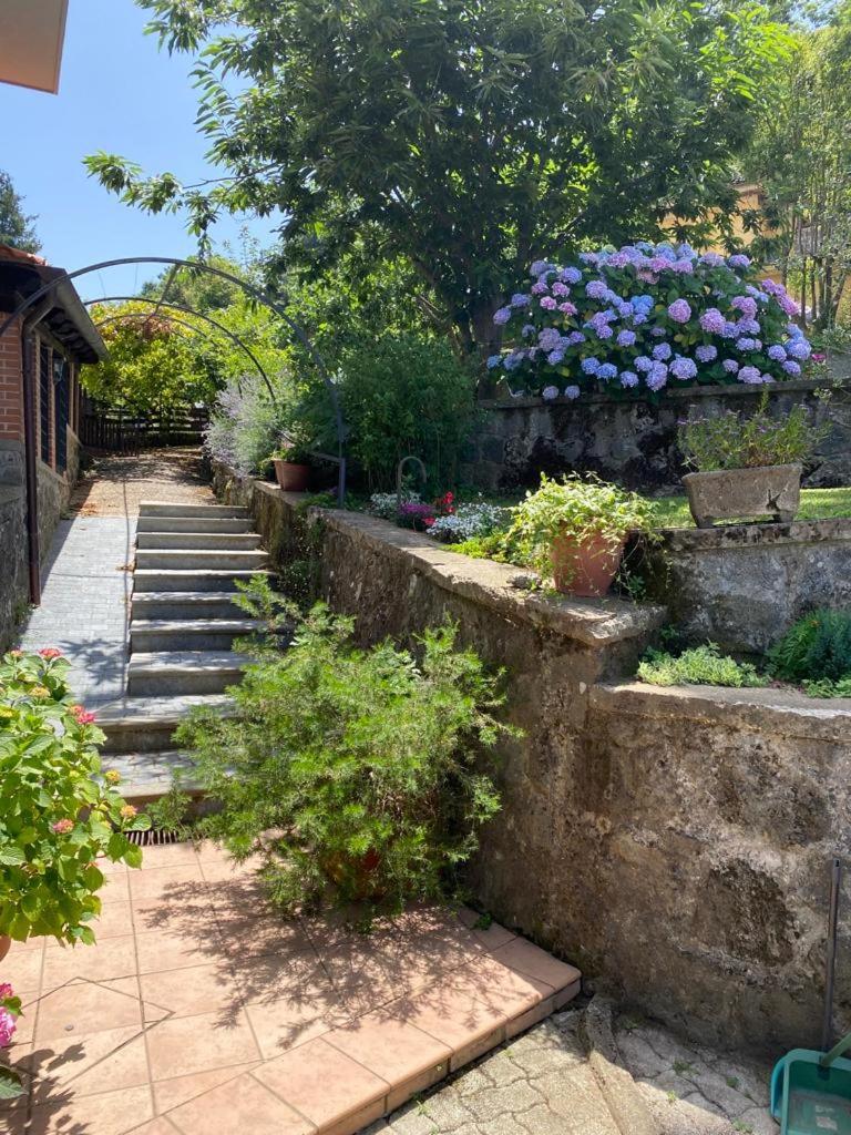 Villa Anna