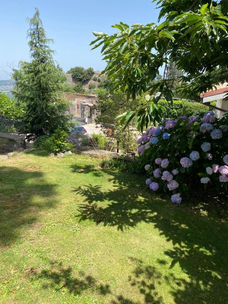 Villa Anna