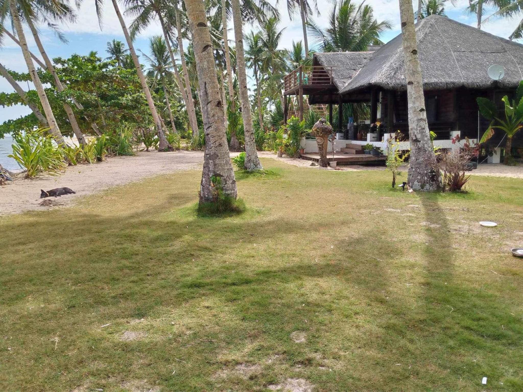 Halekahakai