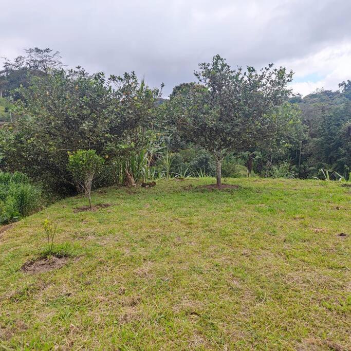 Casa con Piscina en Nanegalito