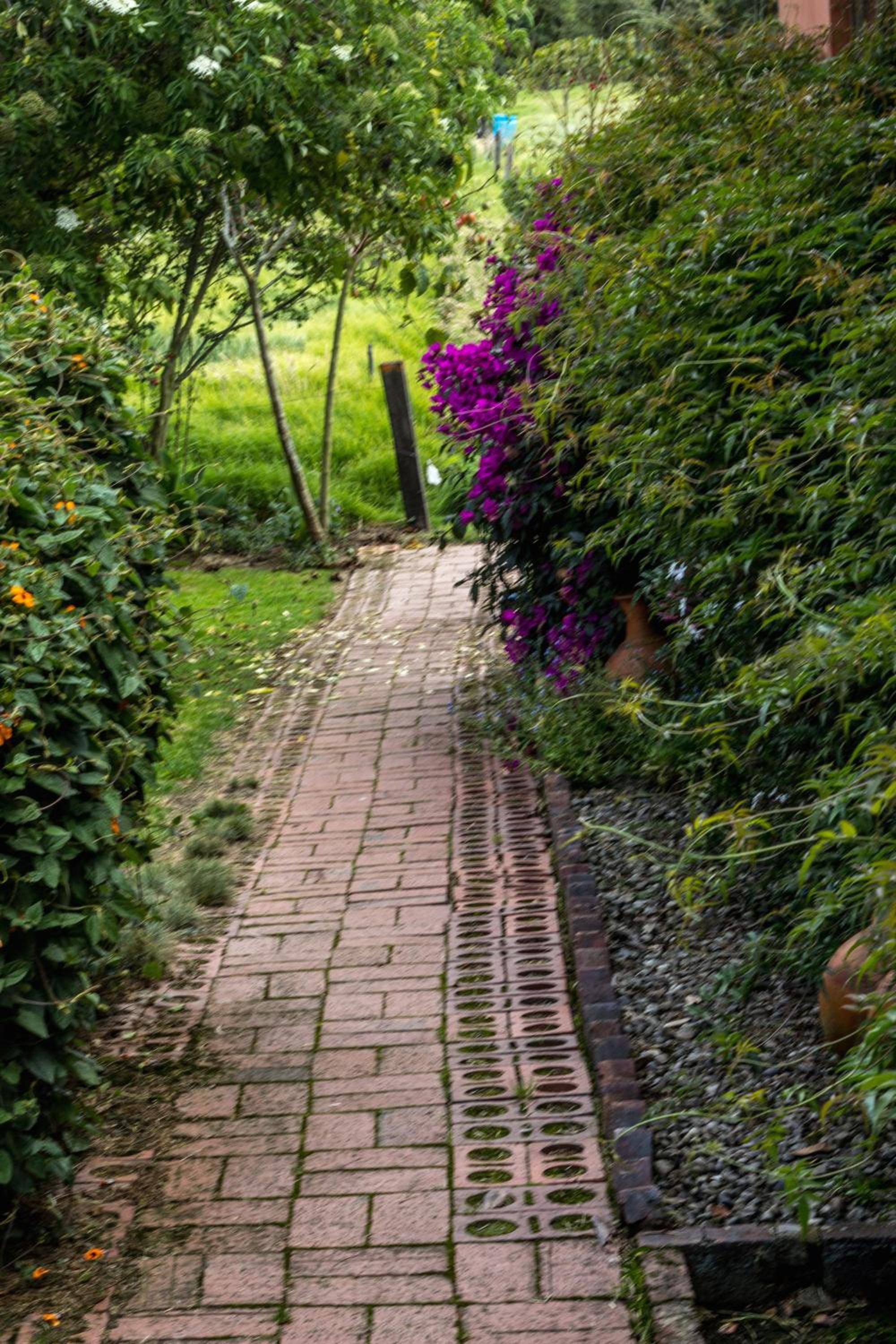 Finca el Refugio del Mundo