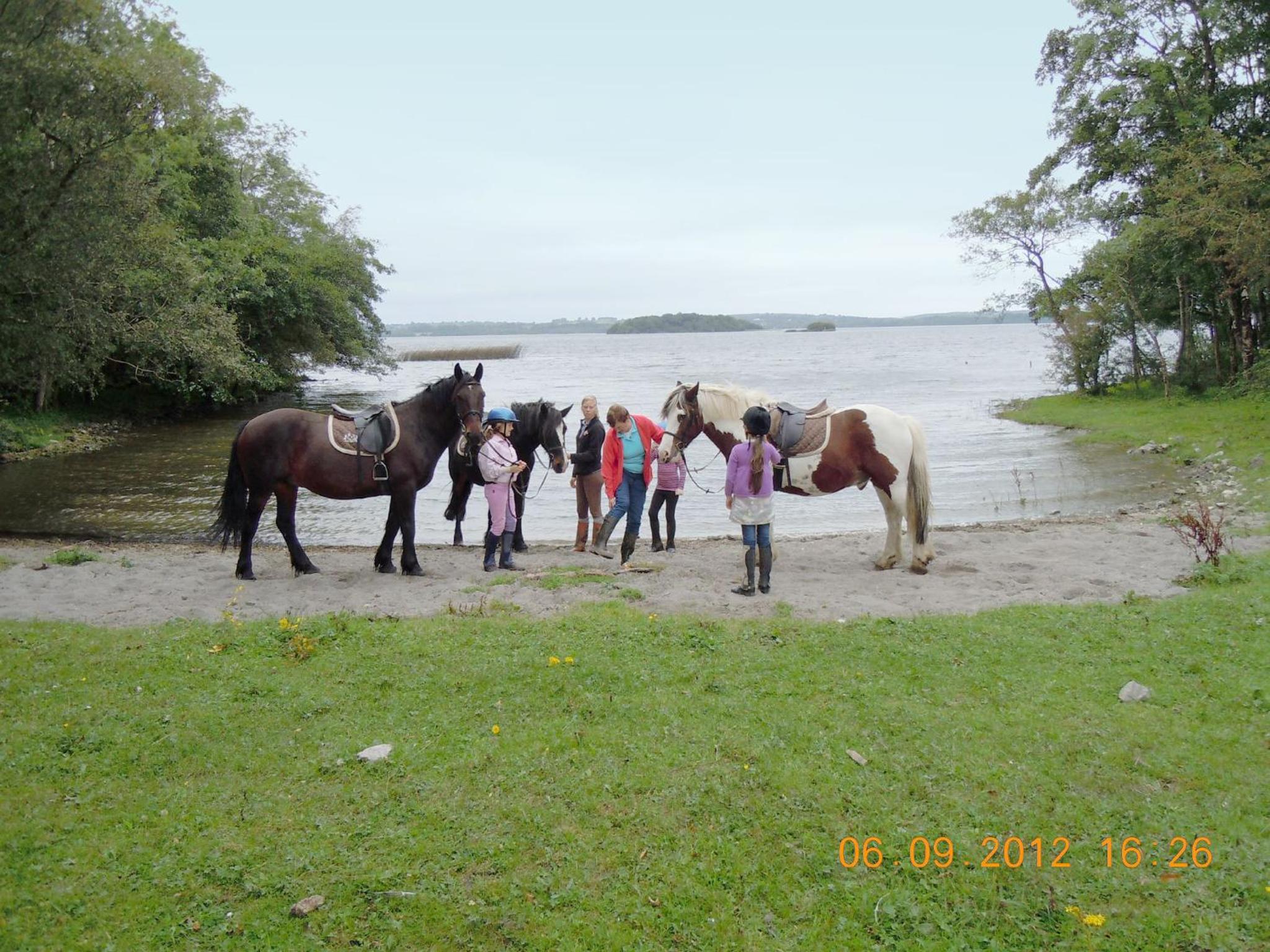 Photo 7