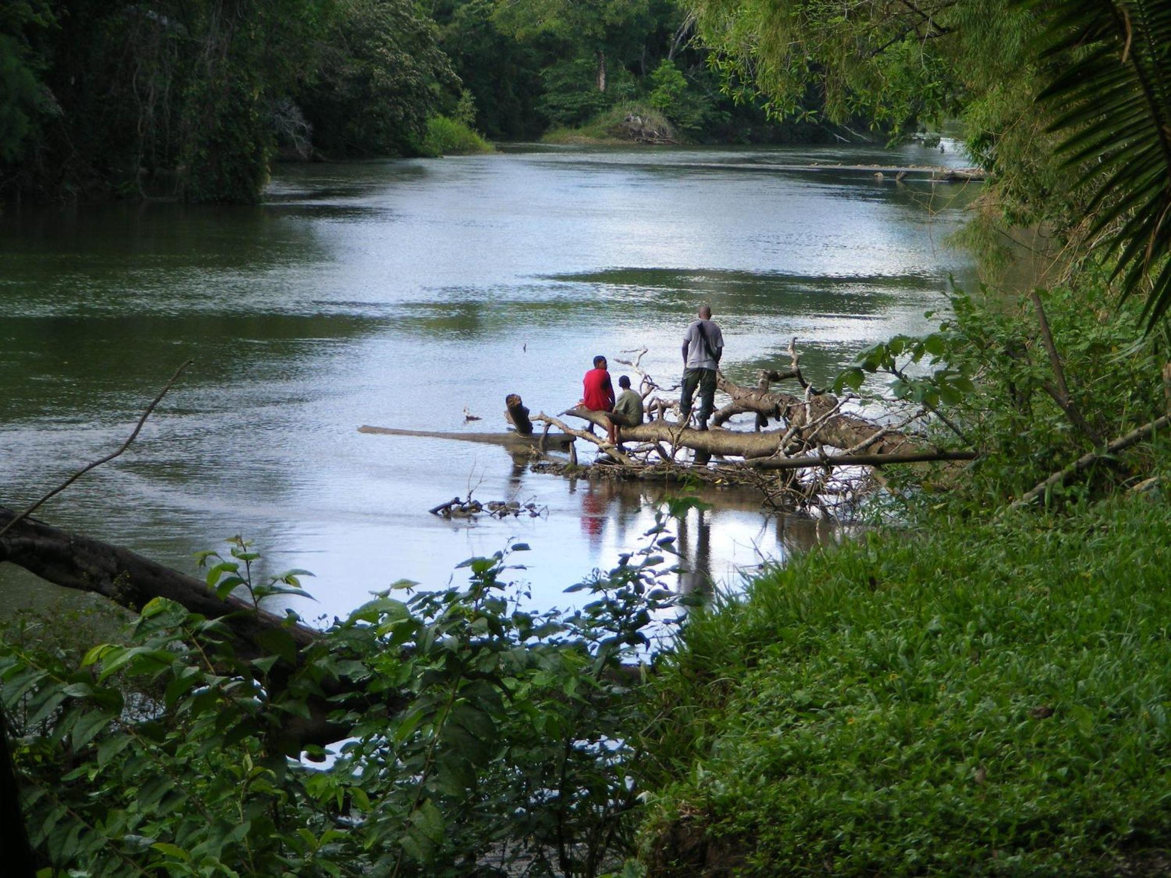 Lower Dover Jungle Lodge & Maya Ruins
