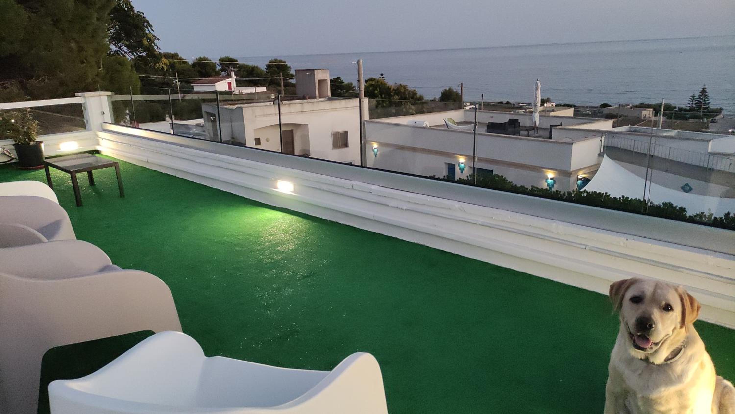 roof