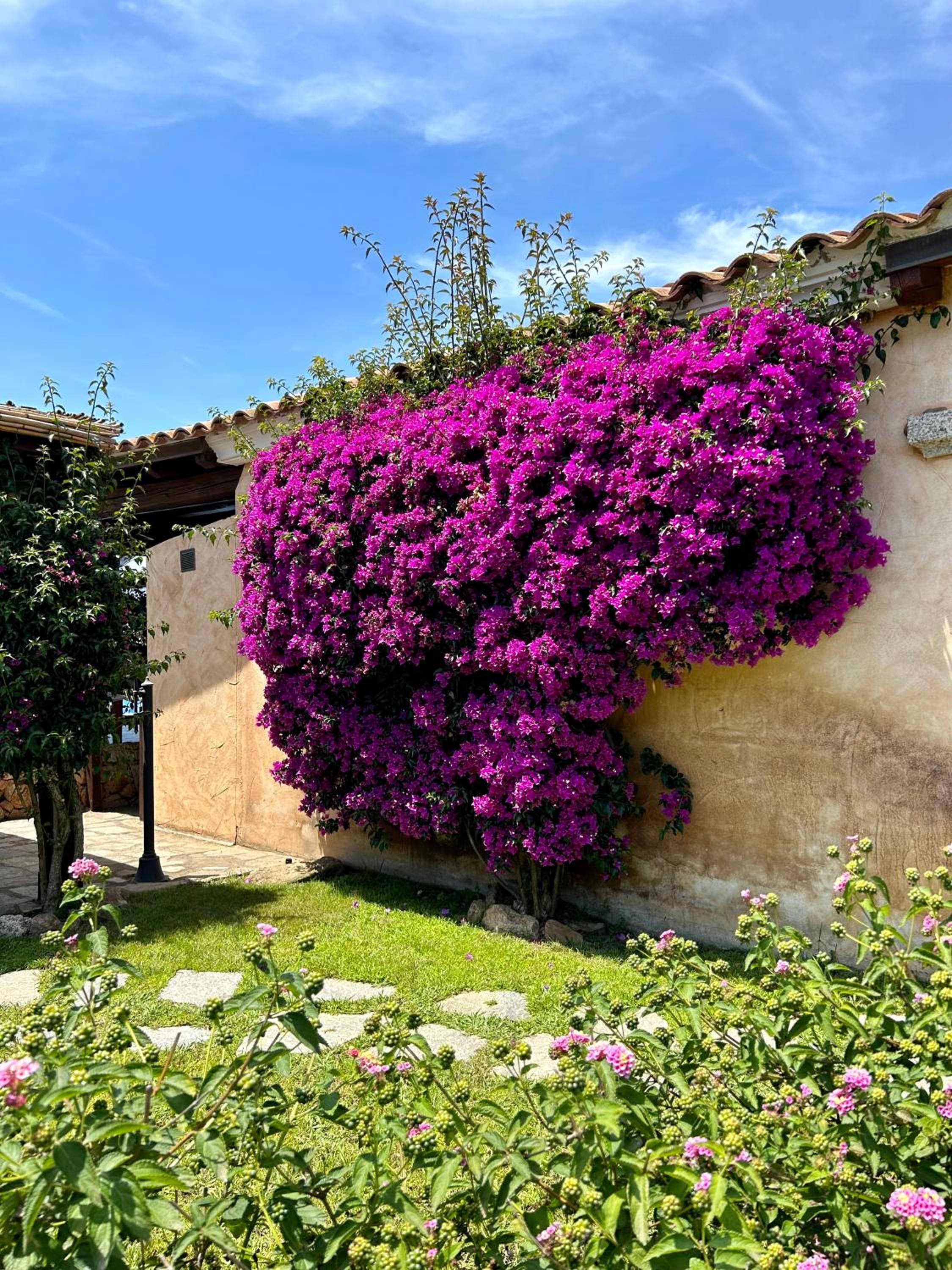 Villa Luca photo 5