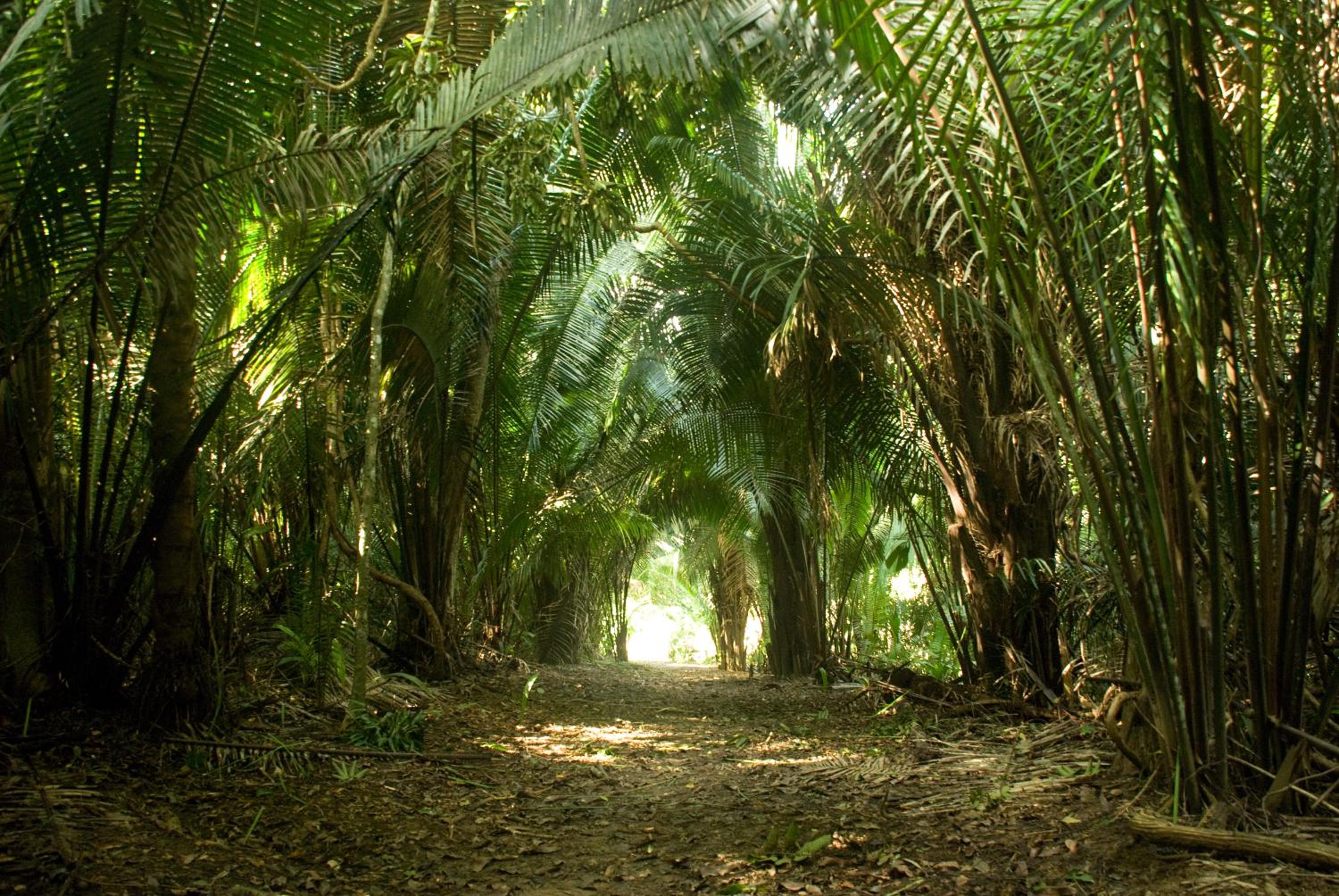 Lower Dover Jungle Lodge & Maya Ruins