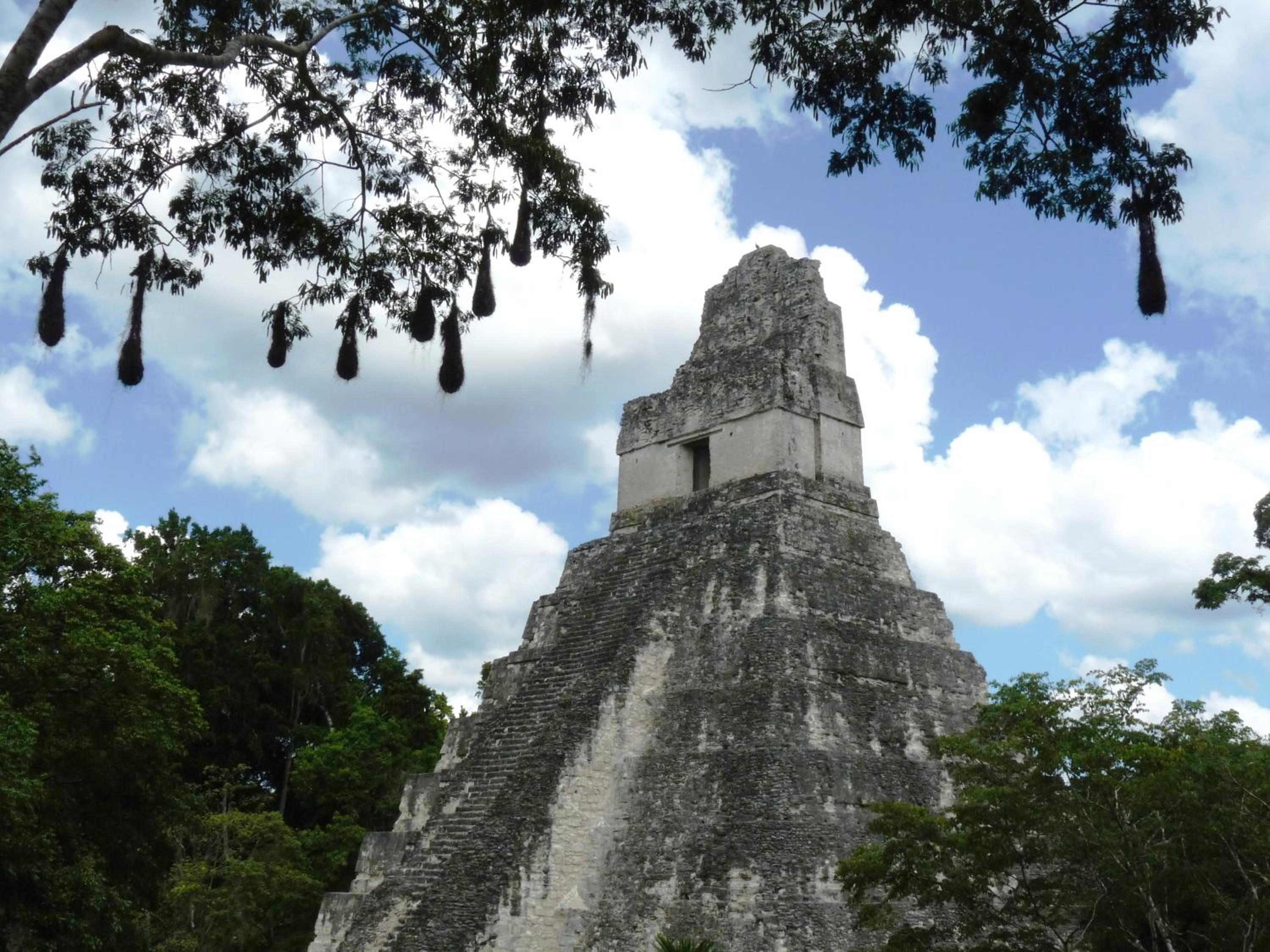 Lower Dover Jungle Lodge & Maya Ruins