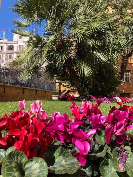 San Pietro Guest House