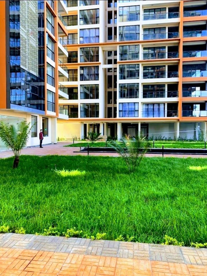 Urban Oasis