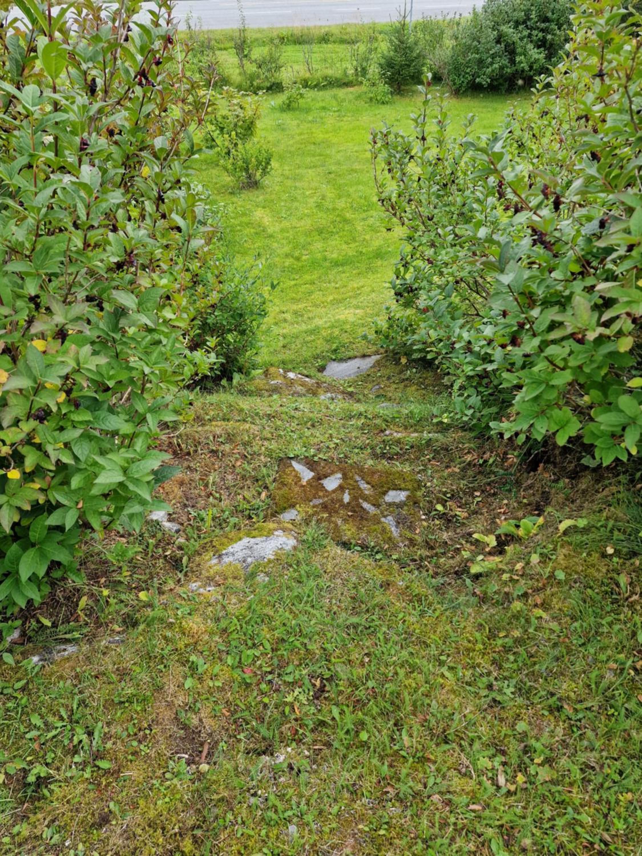 Photo 20