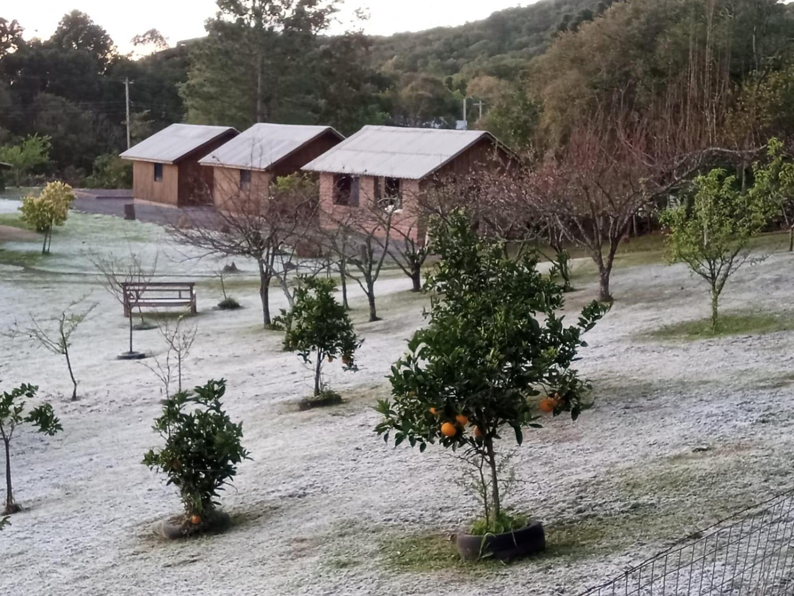 Encosta Dos Pinheiros