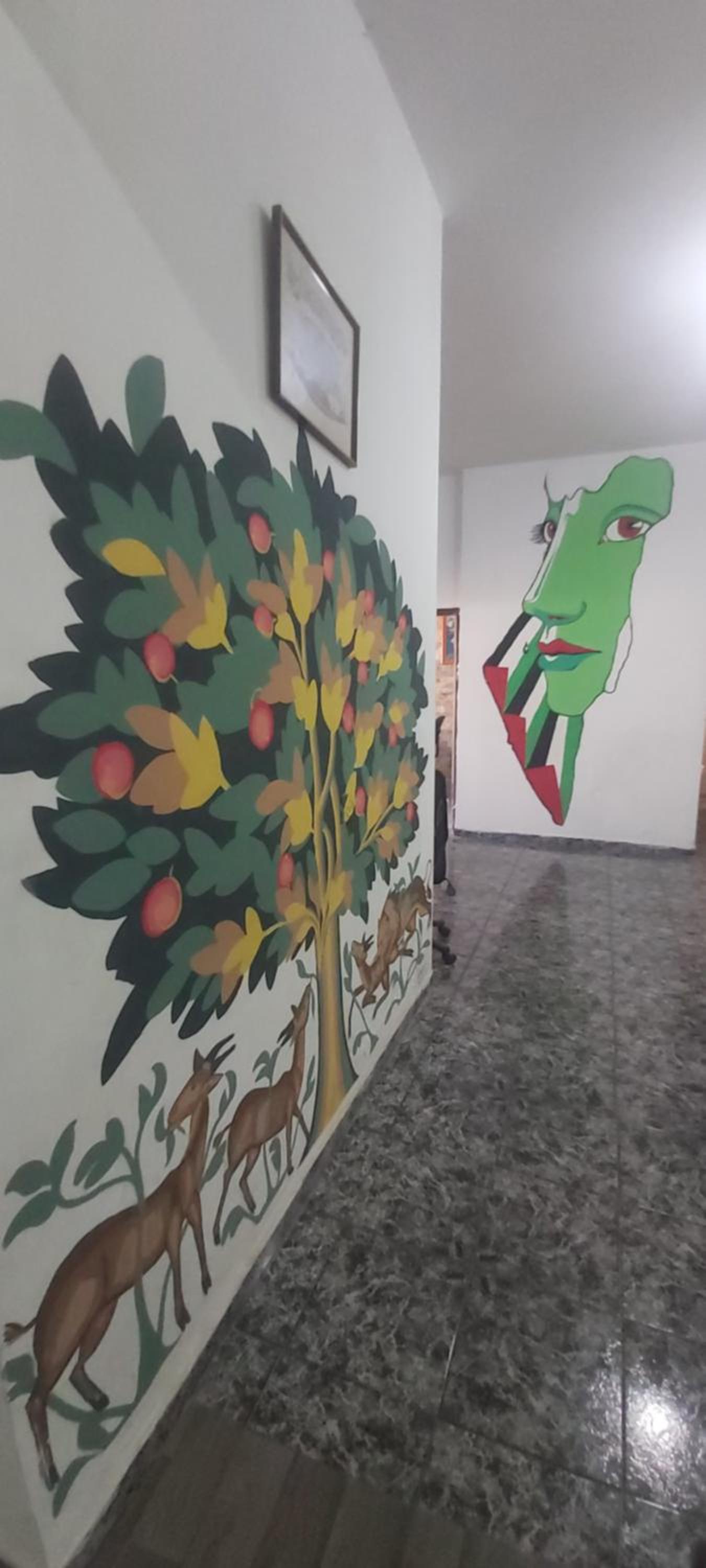 Jenin Hostel