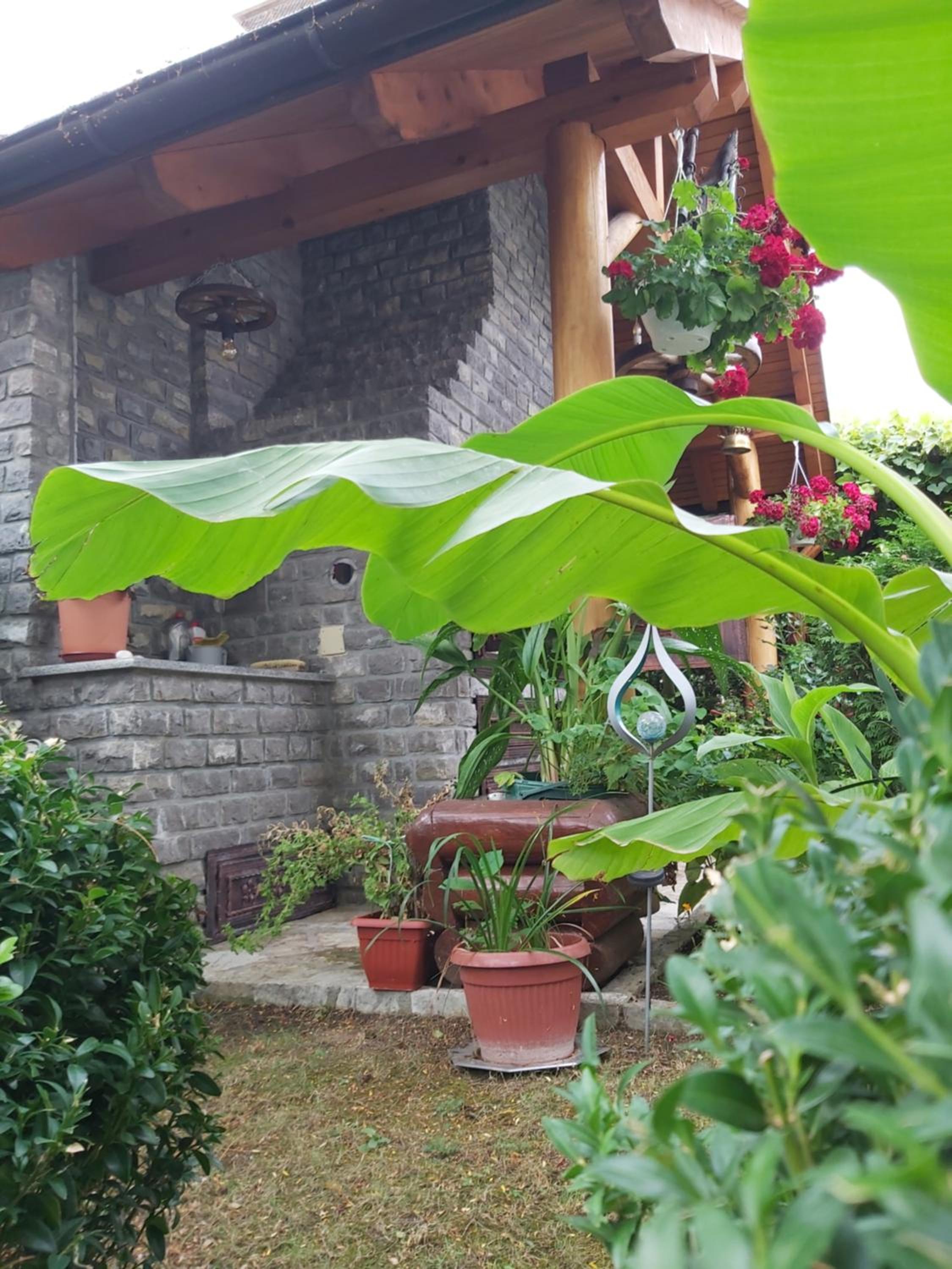 Apartman Relax Bihac