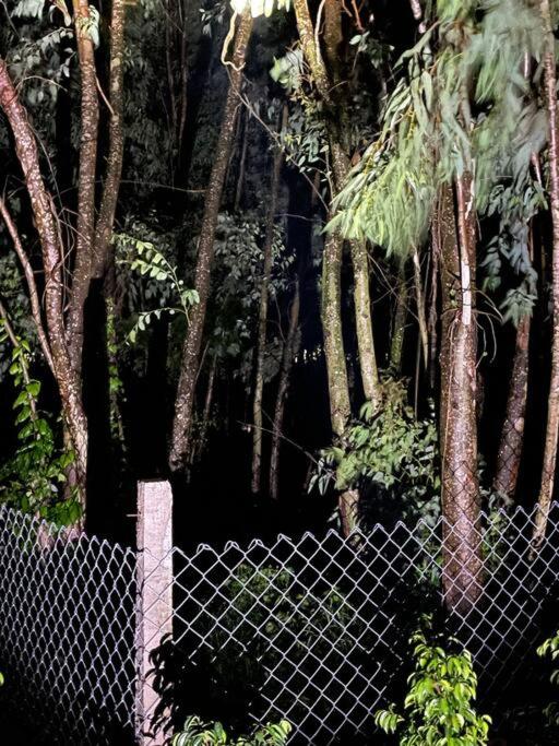 Jungle Cabin close by sea view 5