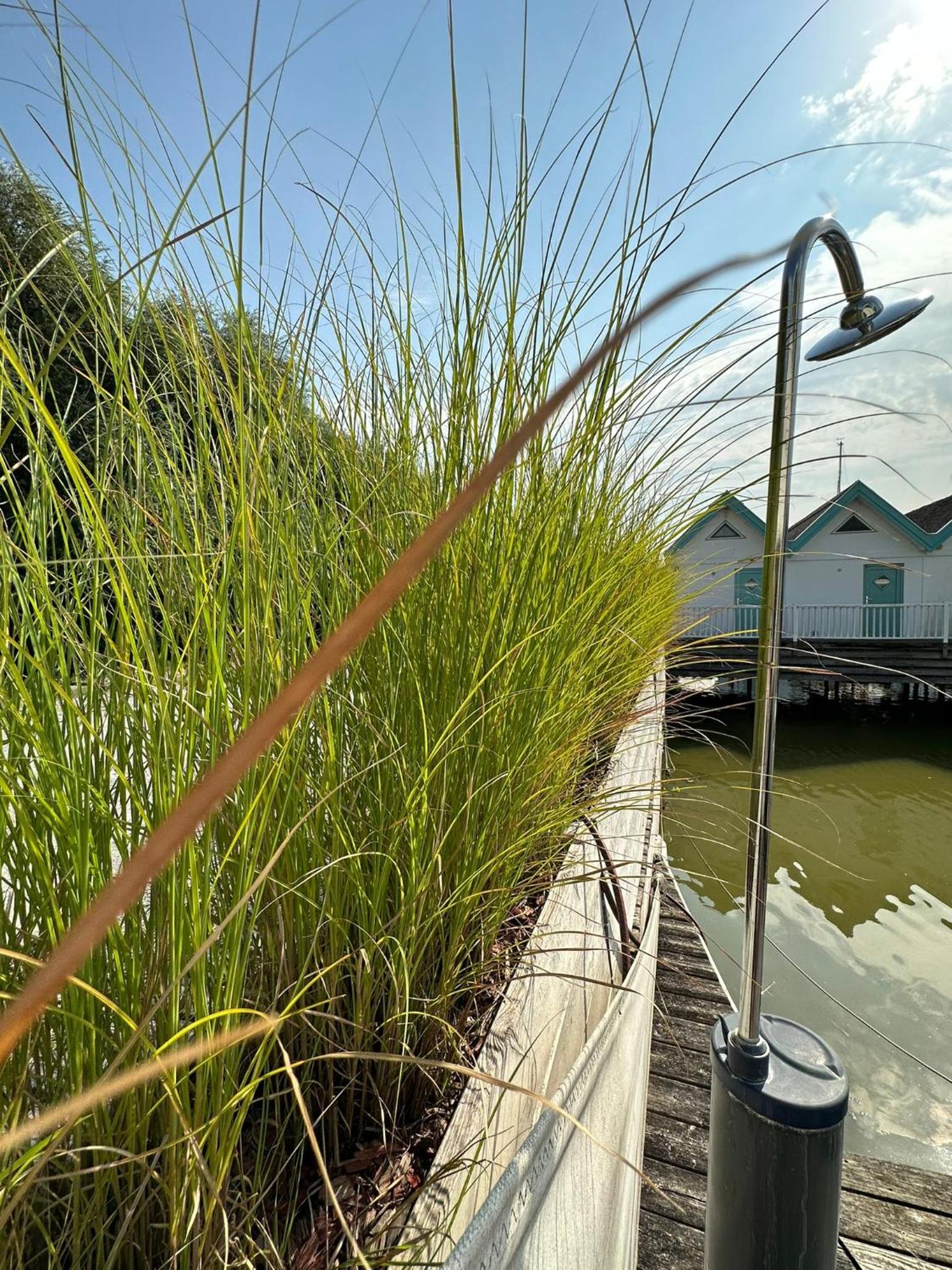 Haus am See