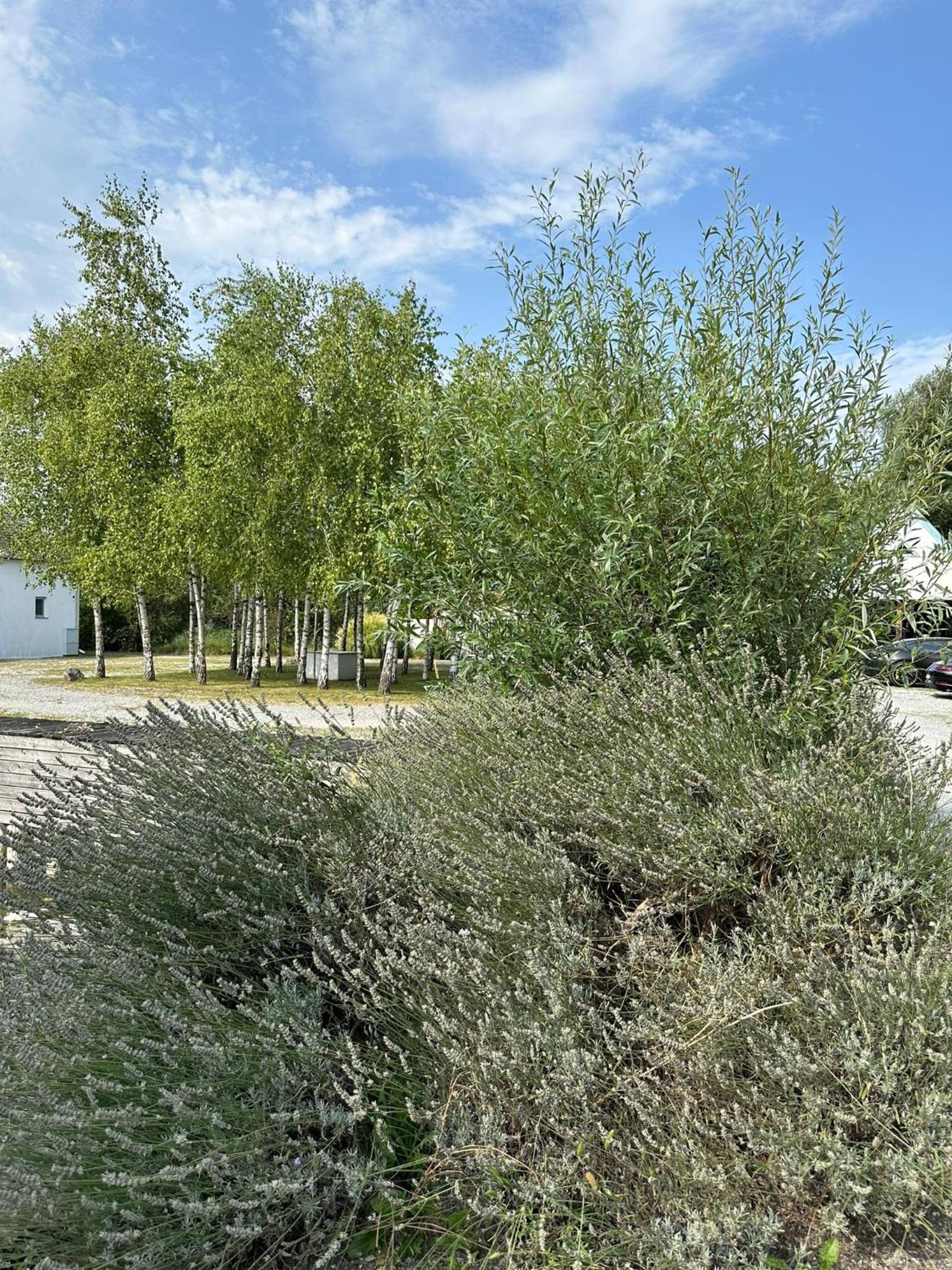 Haus am See